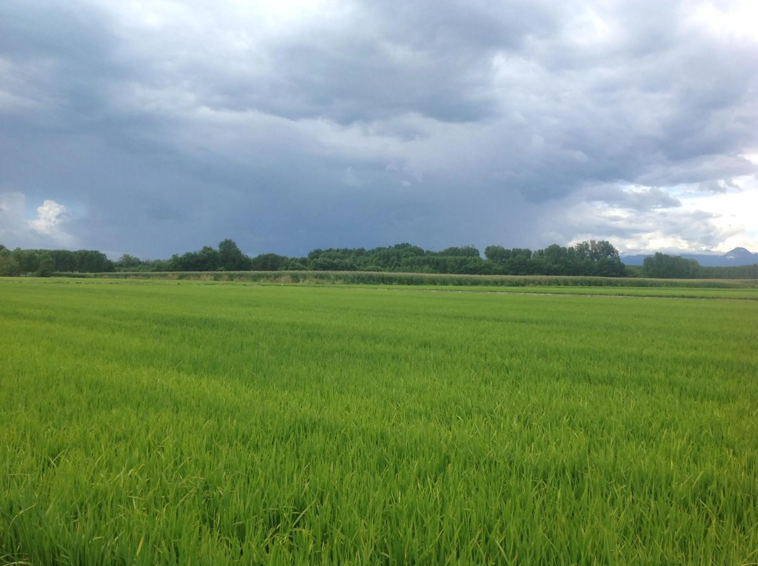 Natural landscape in Residence Campagnole