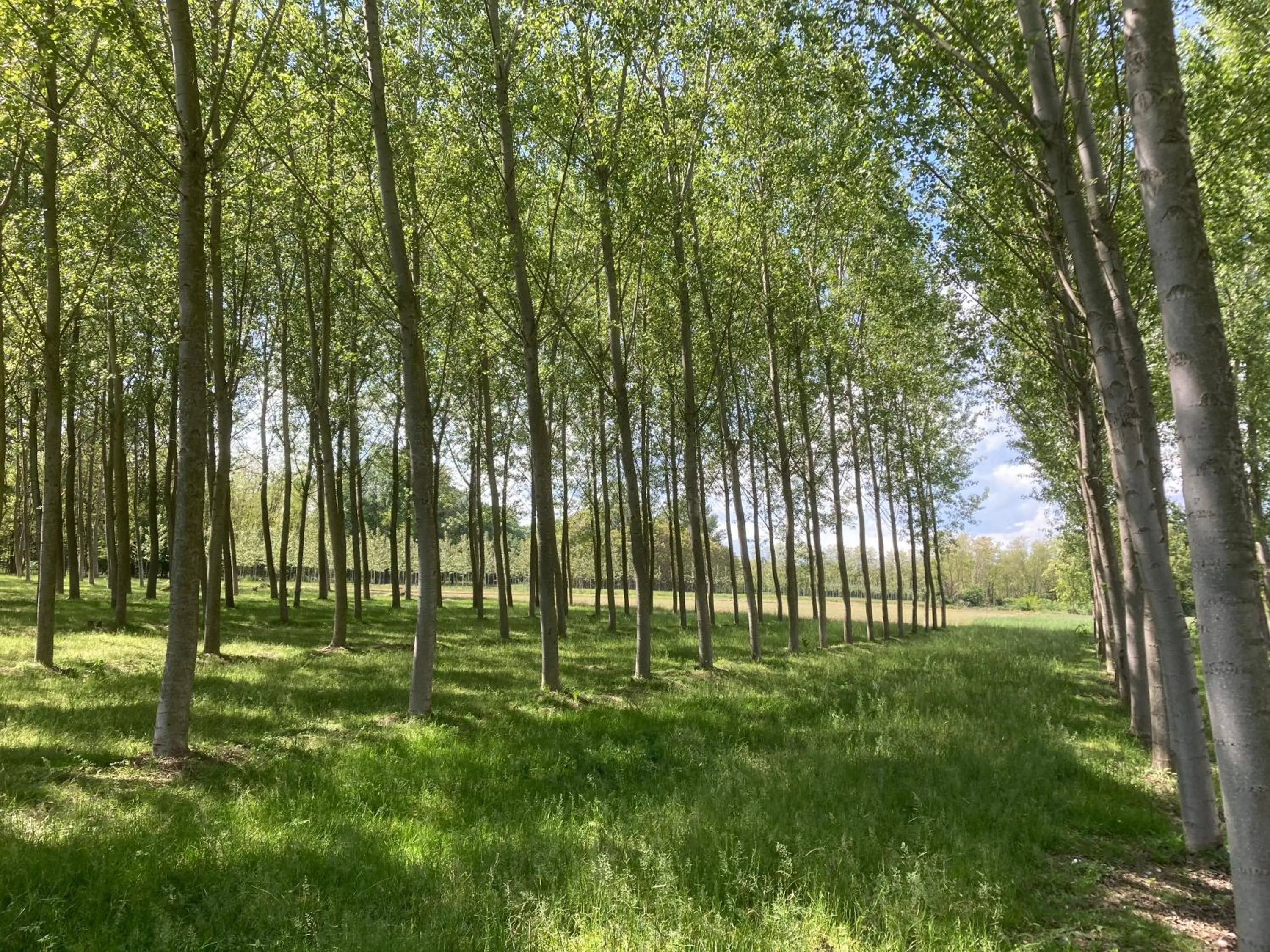 Natural landscape in Residence Campagnole