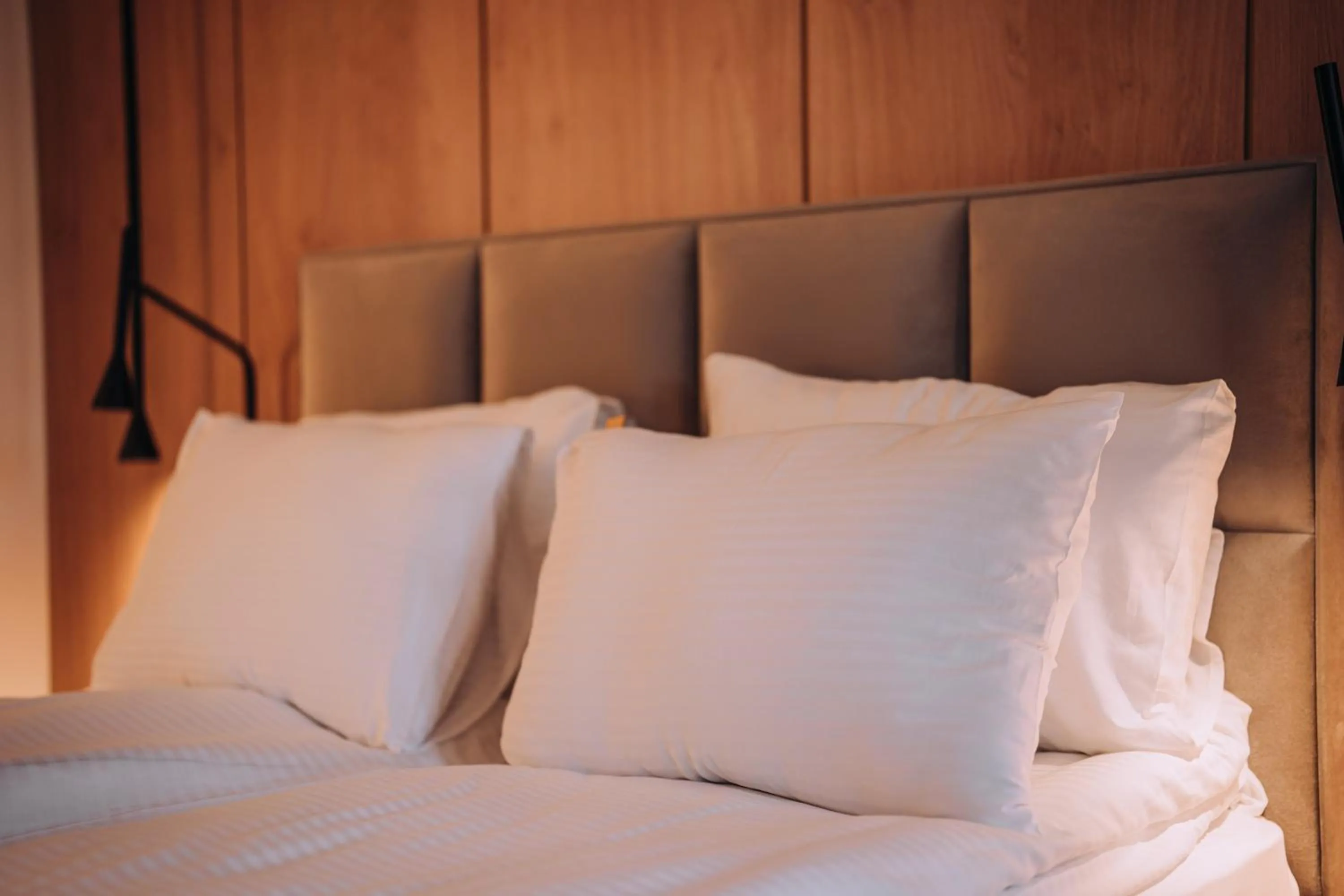 Bed in Villa Pupin Gorna Porta