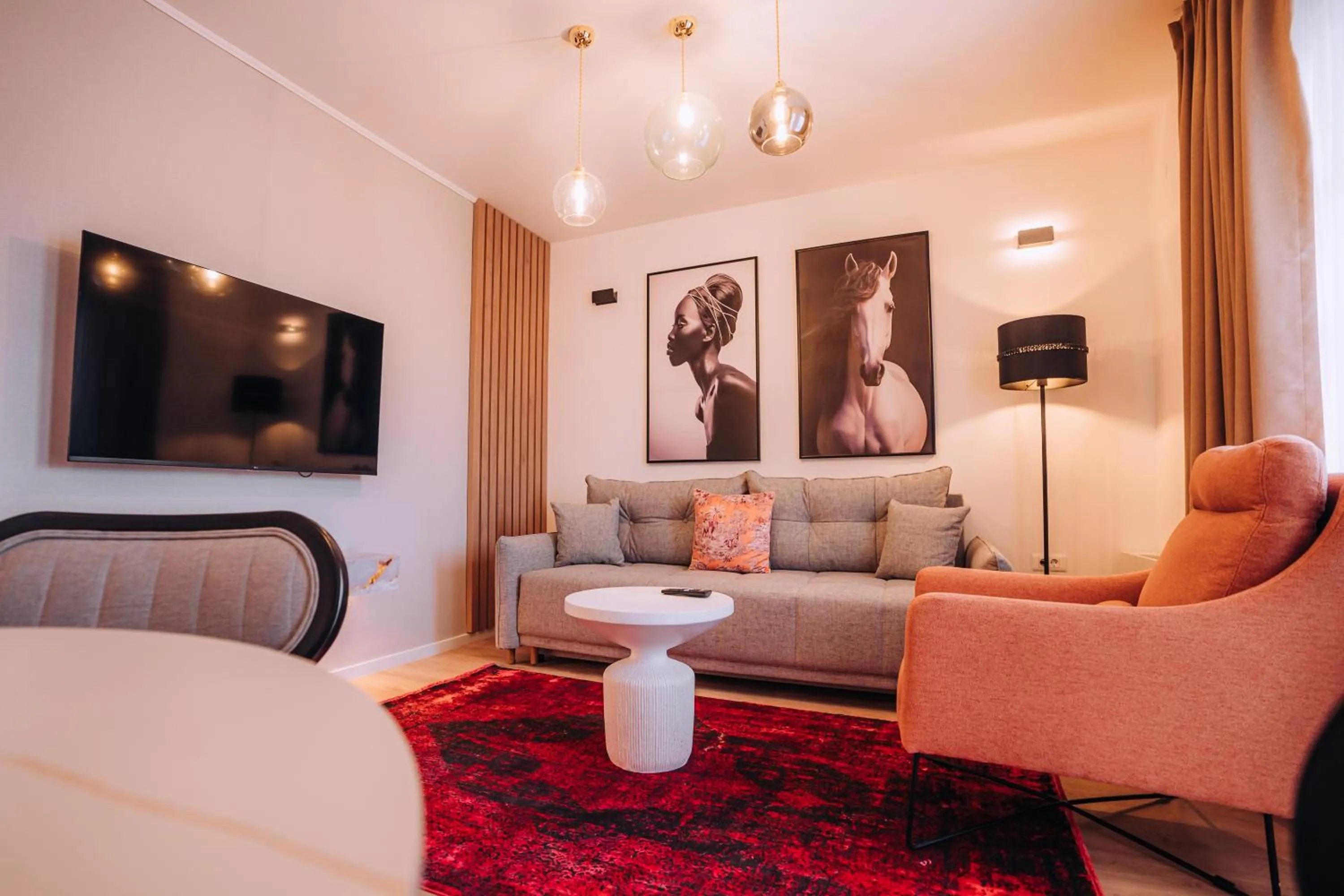 TV and multimedia in Villa Pupin Gorna Porta