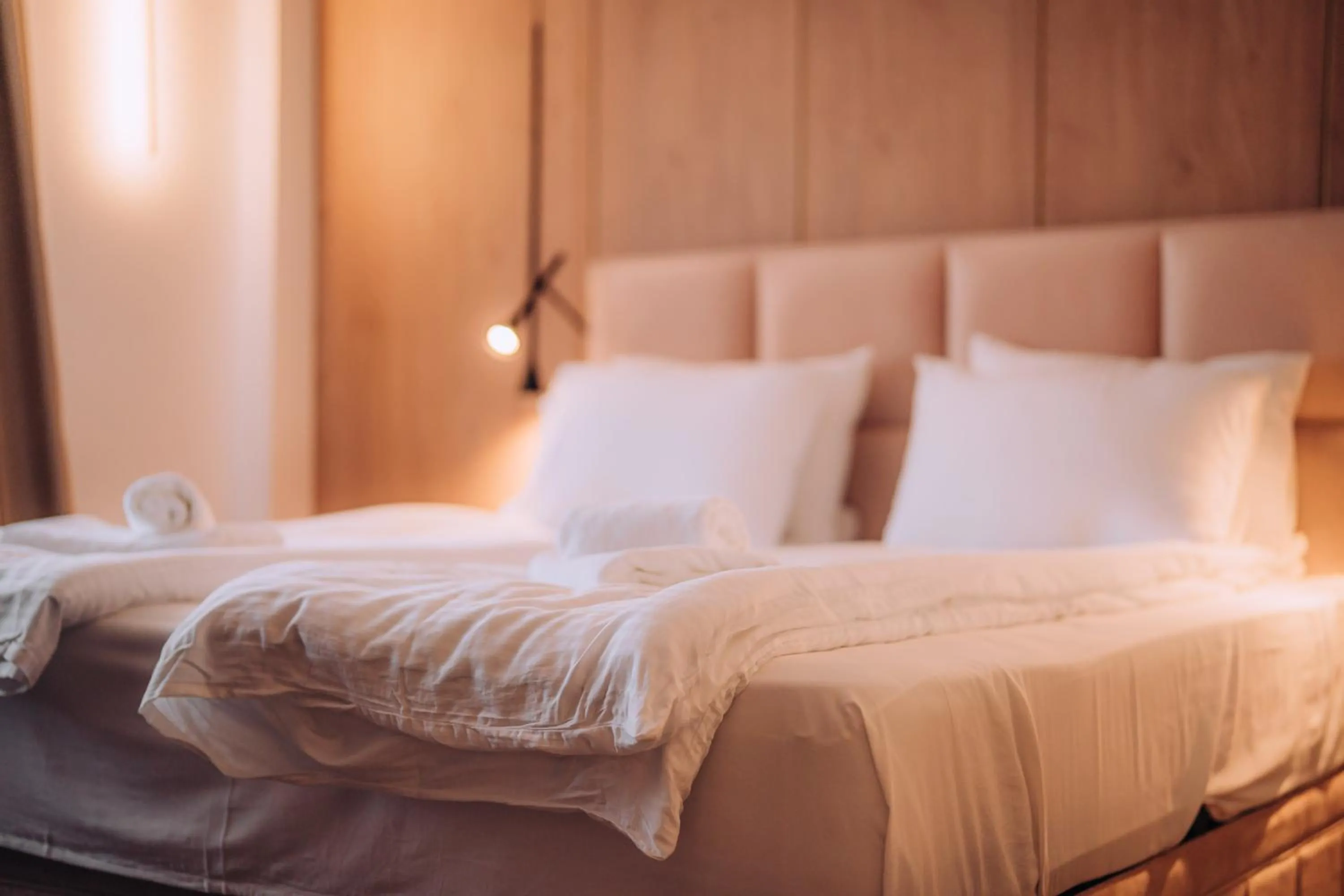 Bed in Villa Pupin Gorna Porta