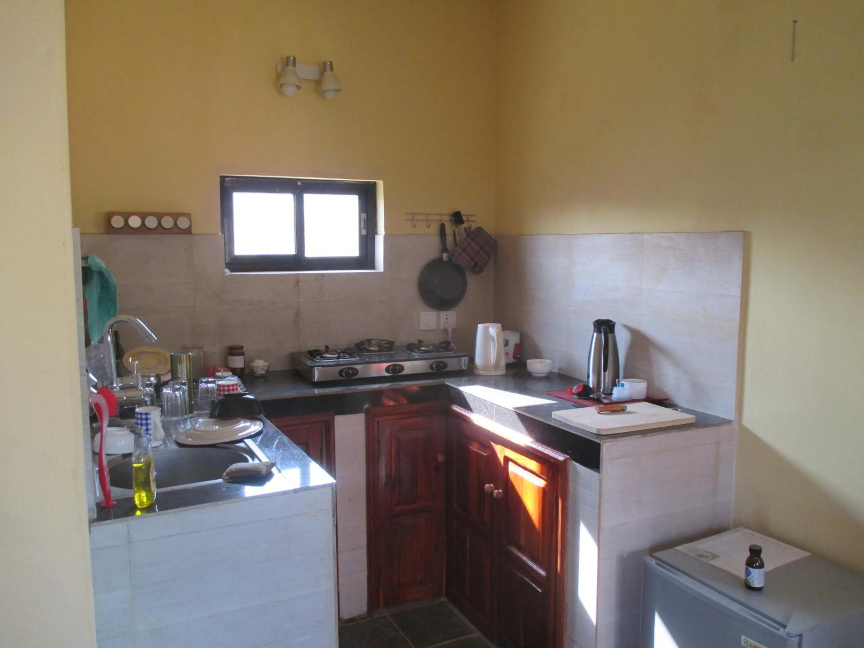 Kitchen or kitchenette in Hotel Swiss