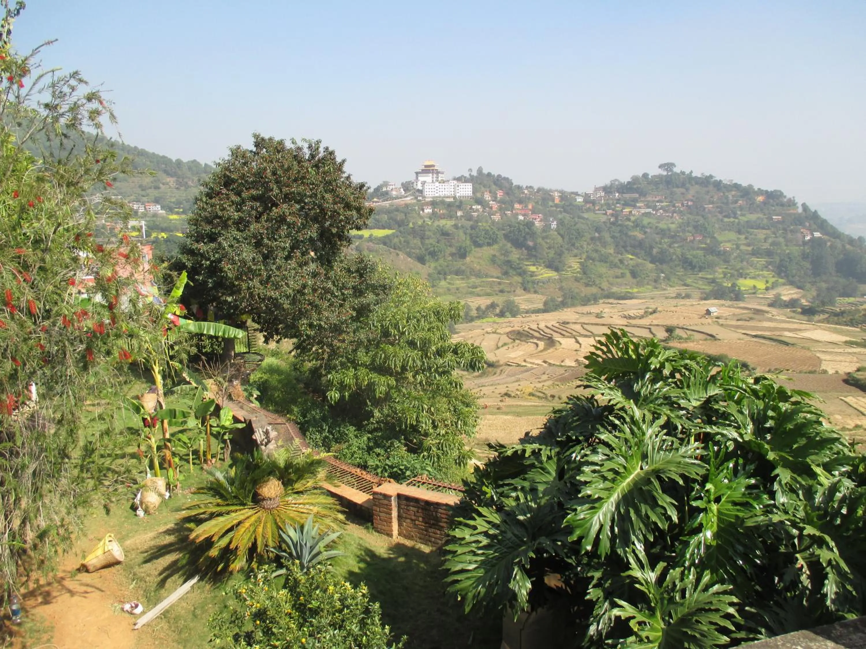 Garden in Hotel Swiss