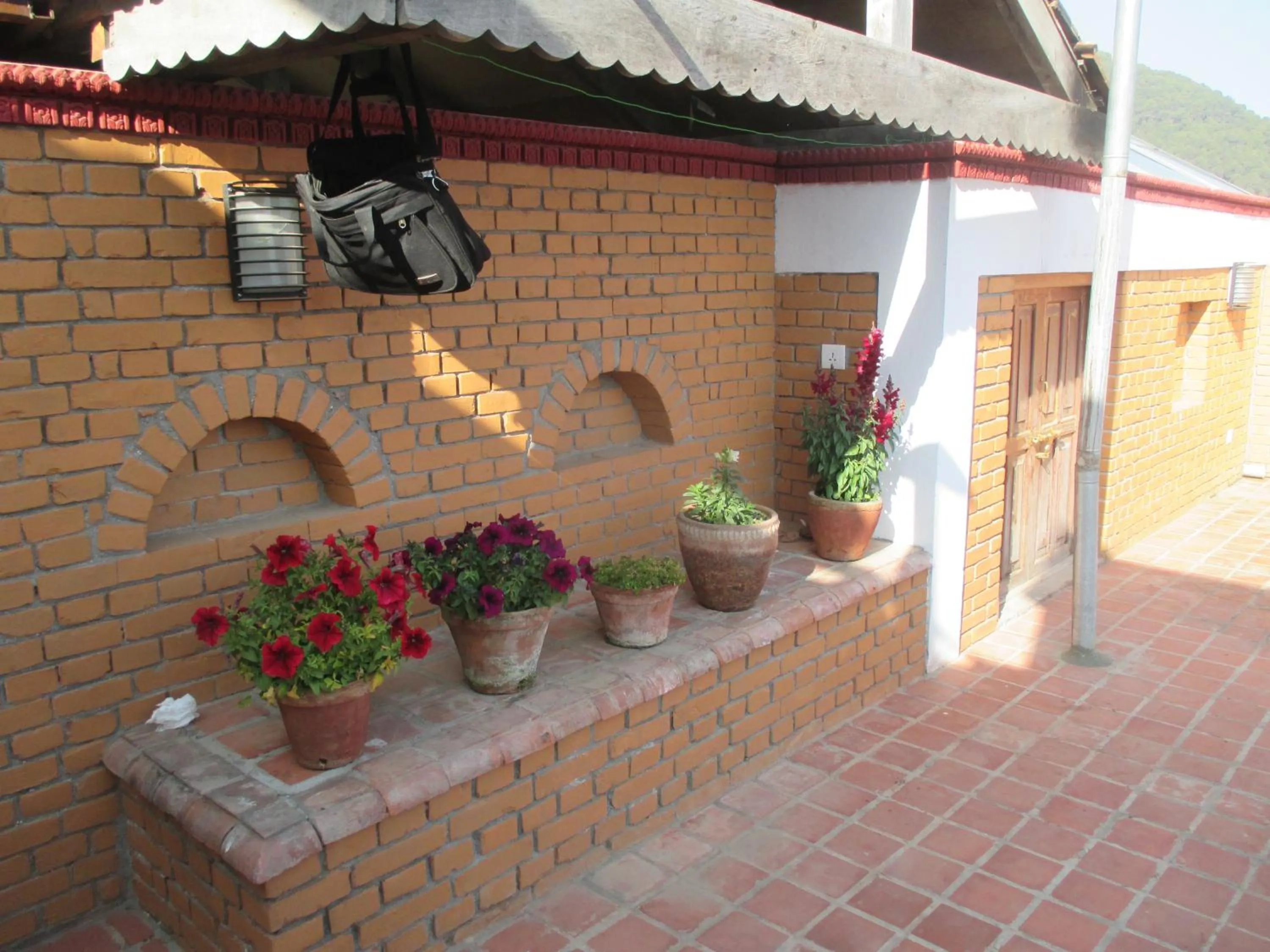 Property building in Hotel Swiss