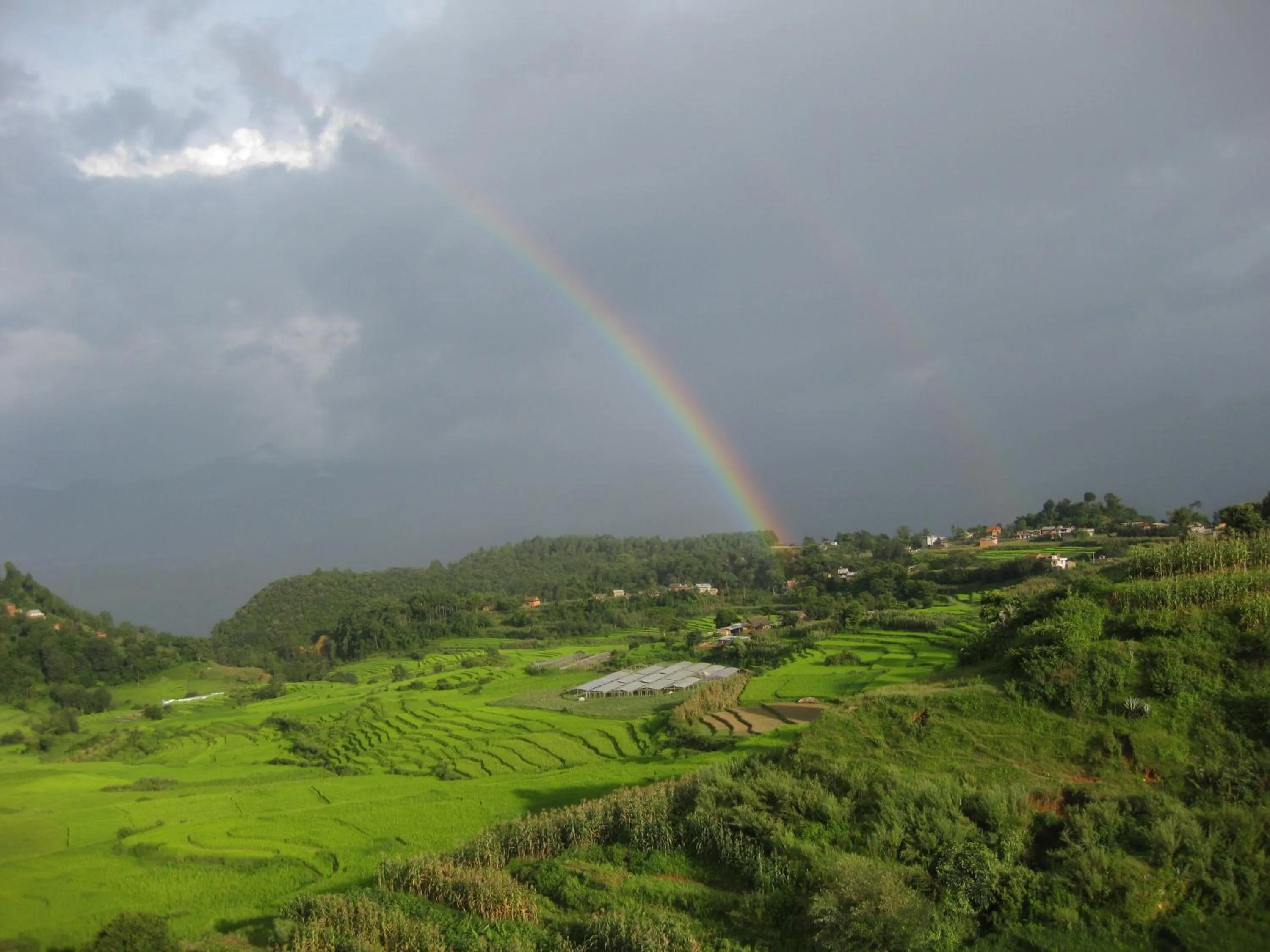 View (from property/room) in Hotel Swiss
