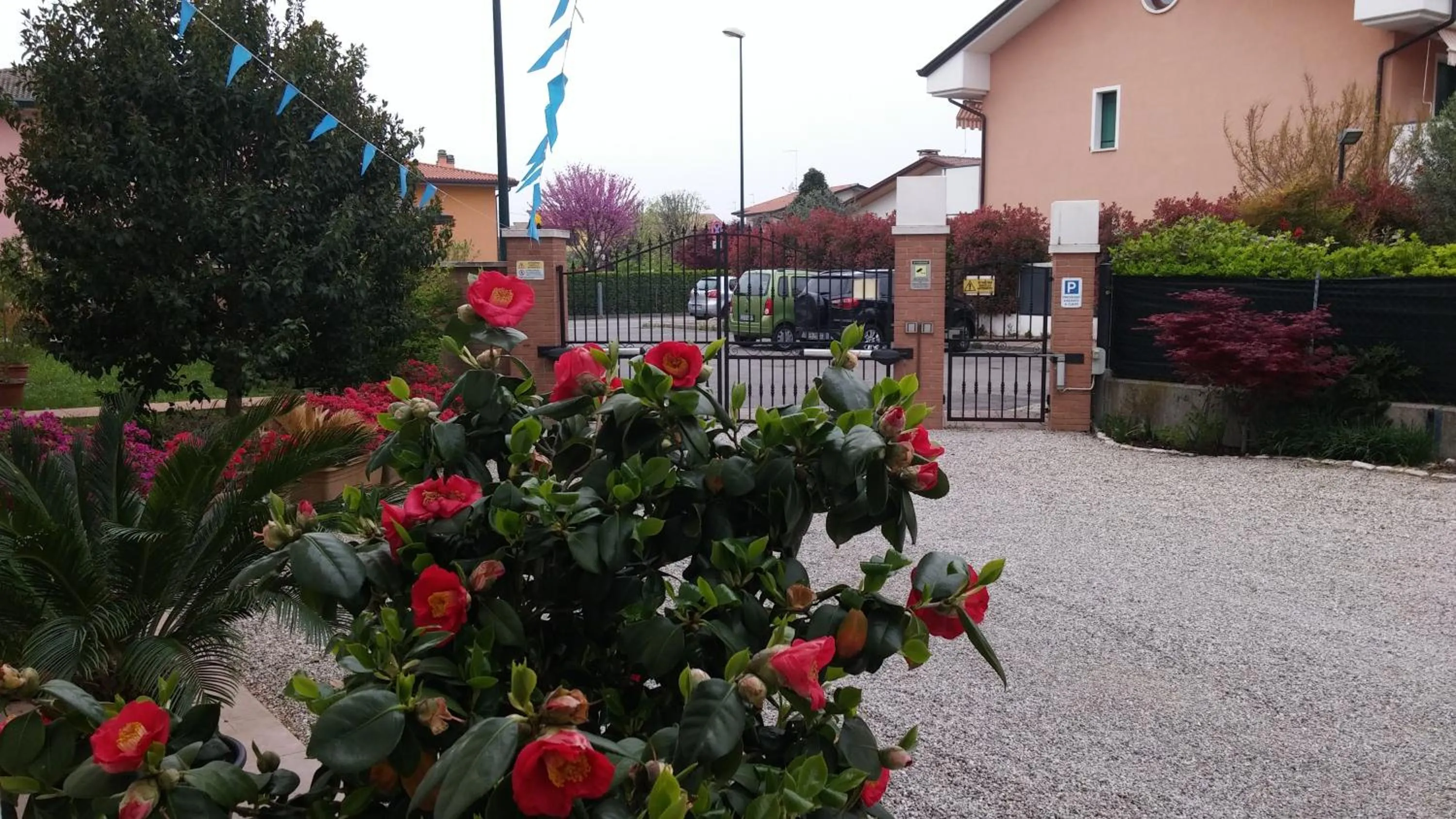 Property building in Dream