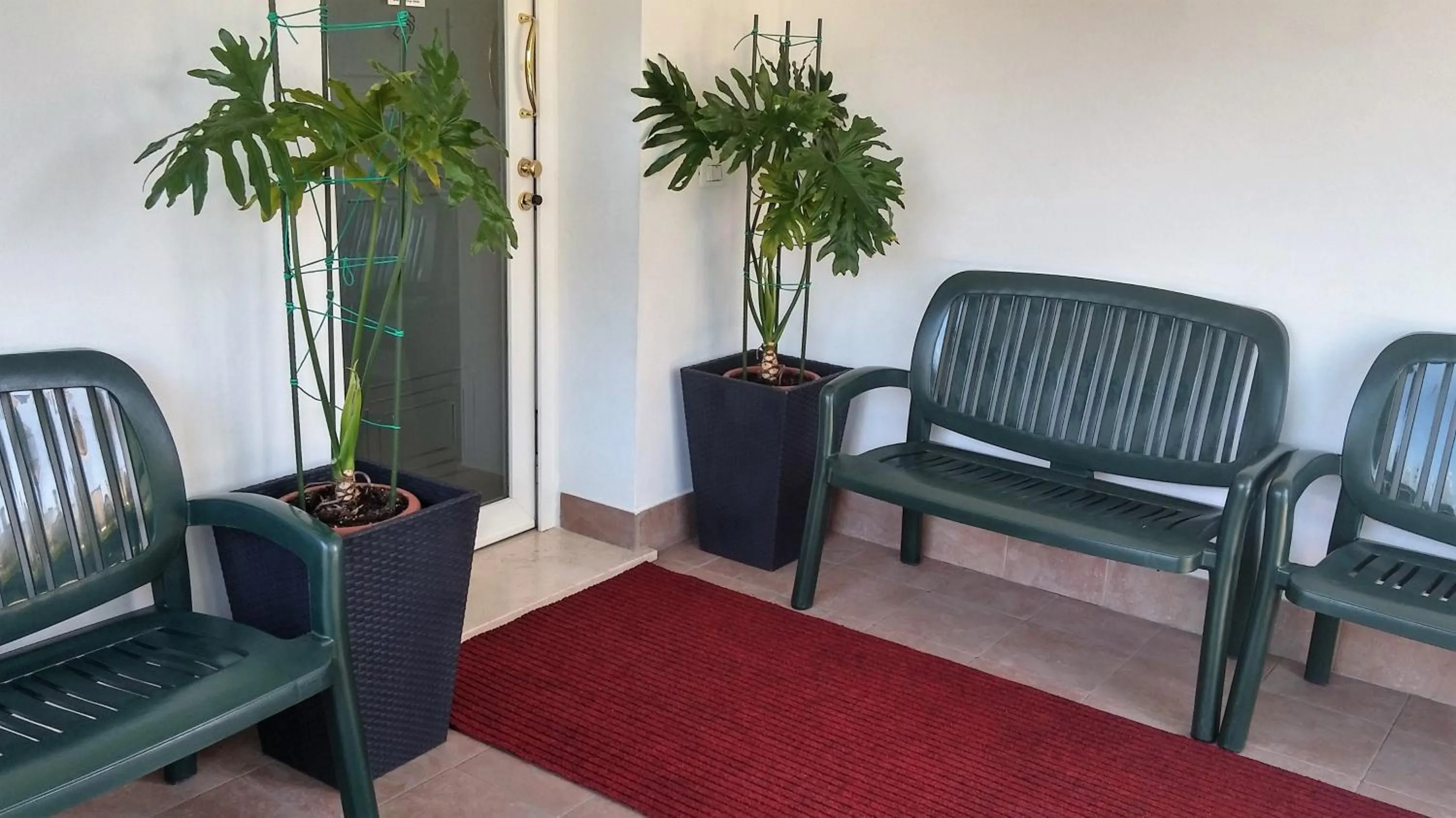 Area and facilities in Dream