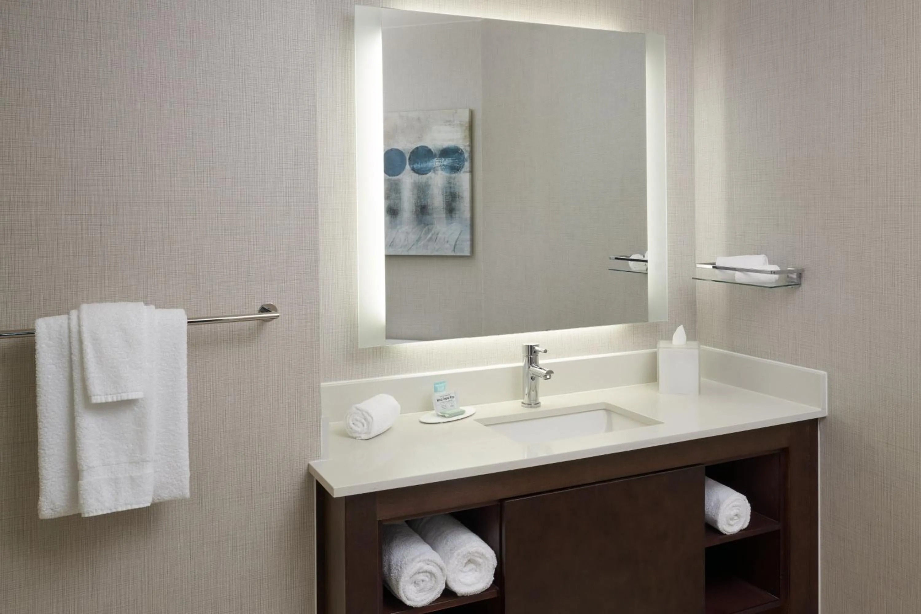 Bathroom in Residence Inn by Marriott West Palm Beach Downtown