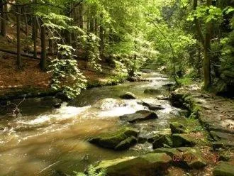 Nearby landmark in Hotel Vysocina