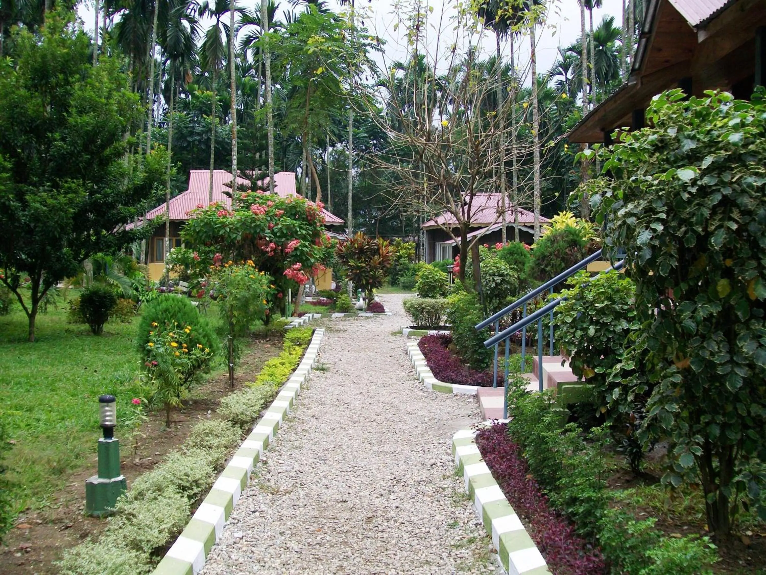 Garden in Aranya Jungle Resorts