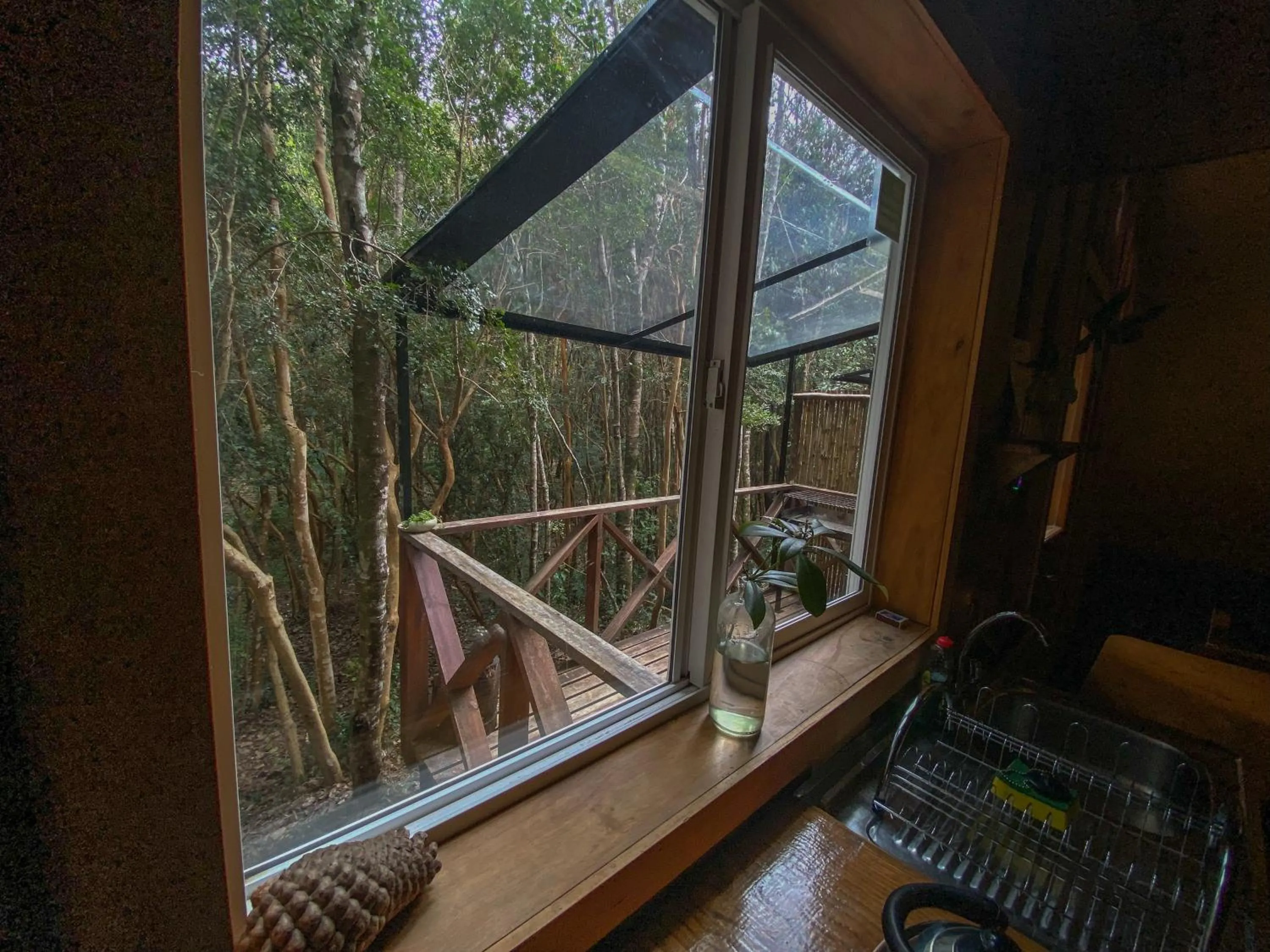 Balcony/Terrace in Cabañas Ensenada Bosque Nativo