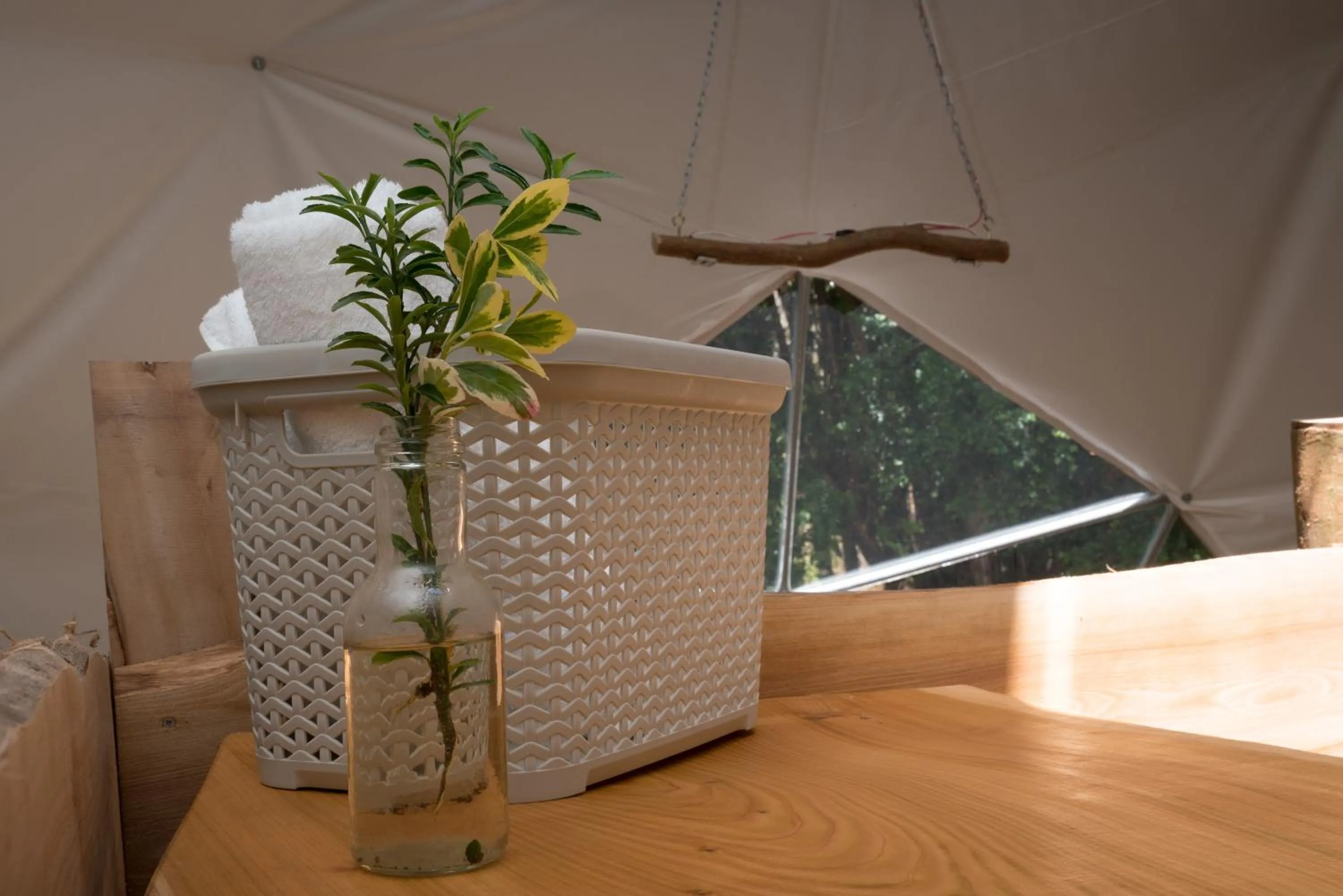 Seating area in Cabañas Ensenada Bosque Nativo
