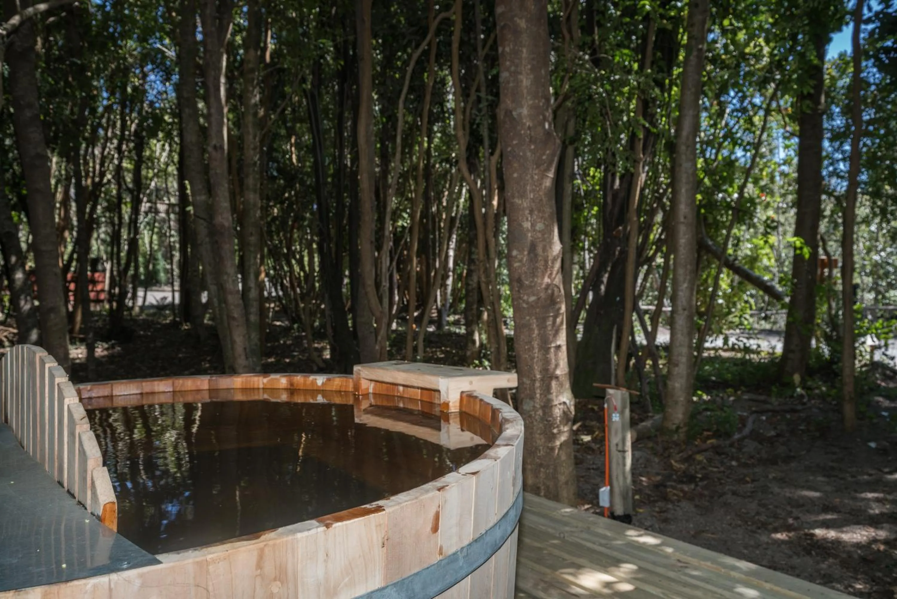 Swimming pool in Cabañas Ensenada Bosque Nativo