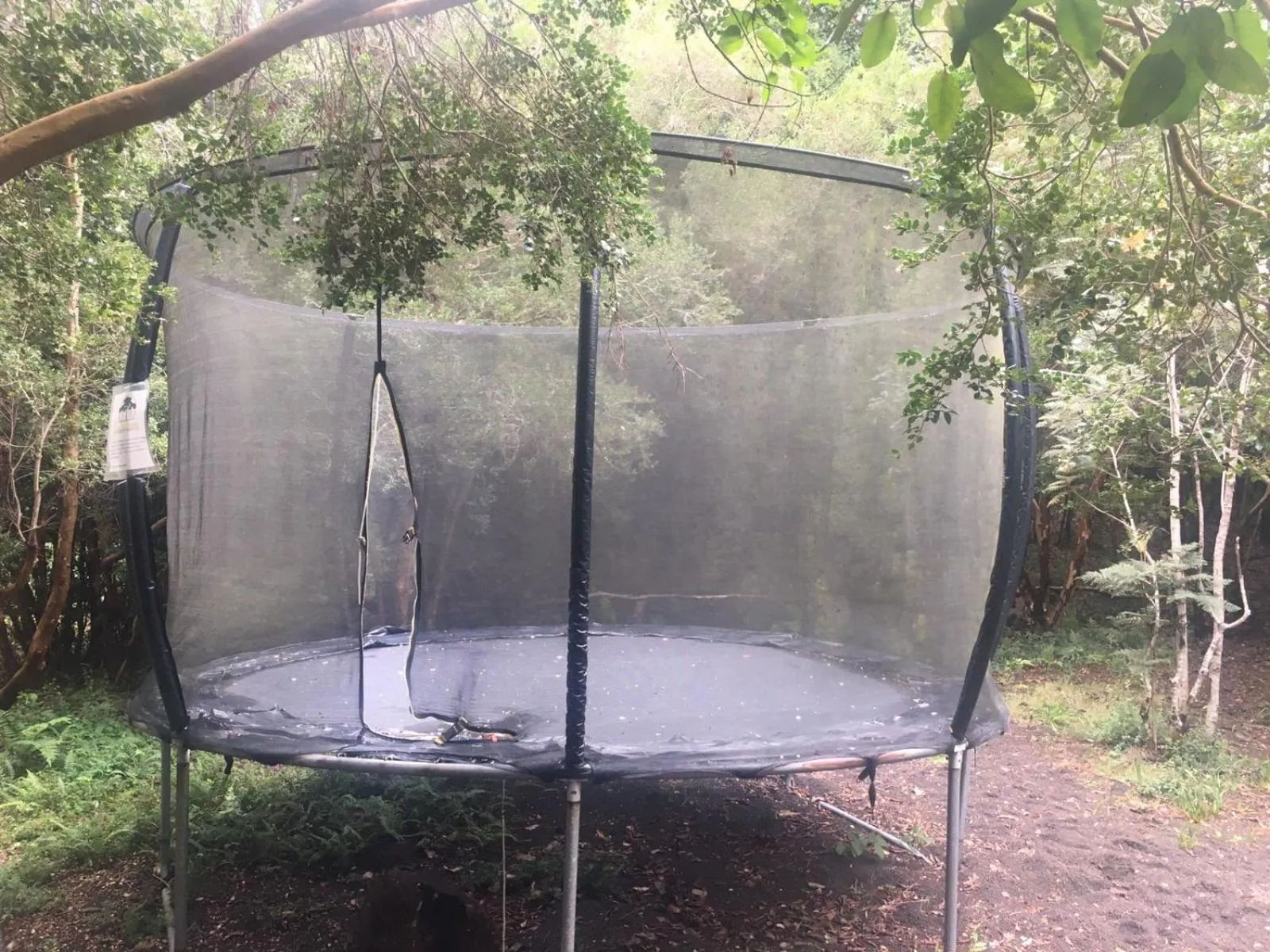 Game Room in Cabañas Ensenada Bosque Nativo