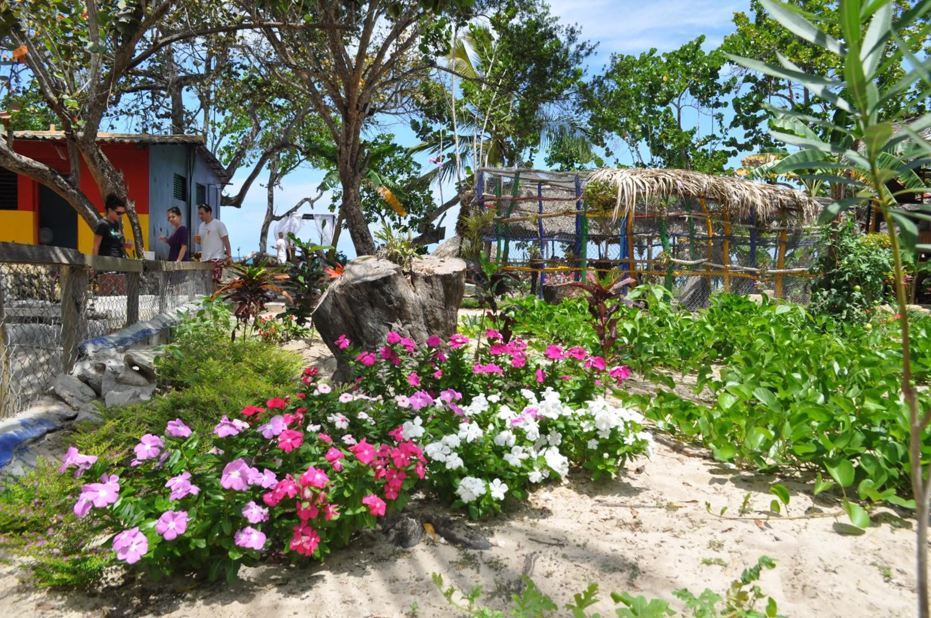 Natural landscape in Paradise Island Beach Resort