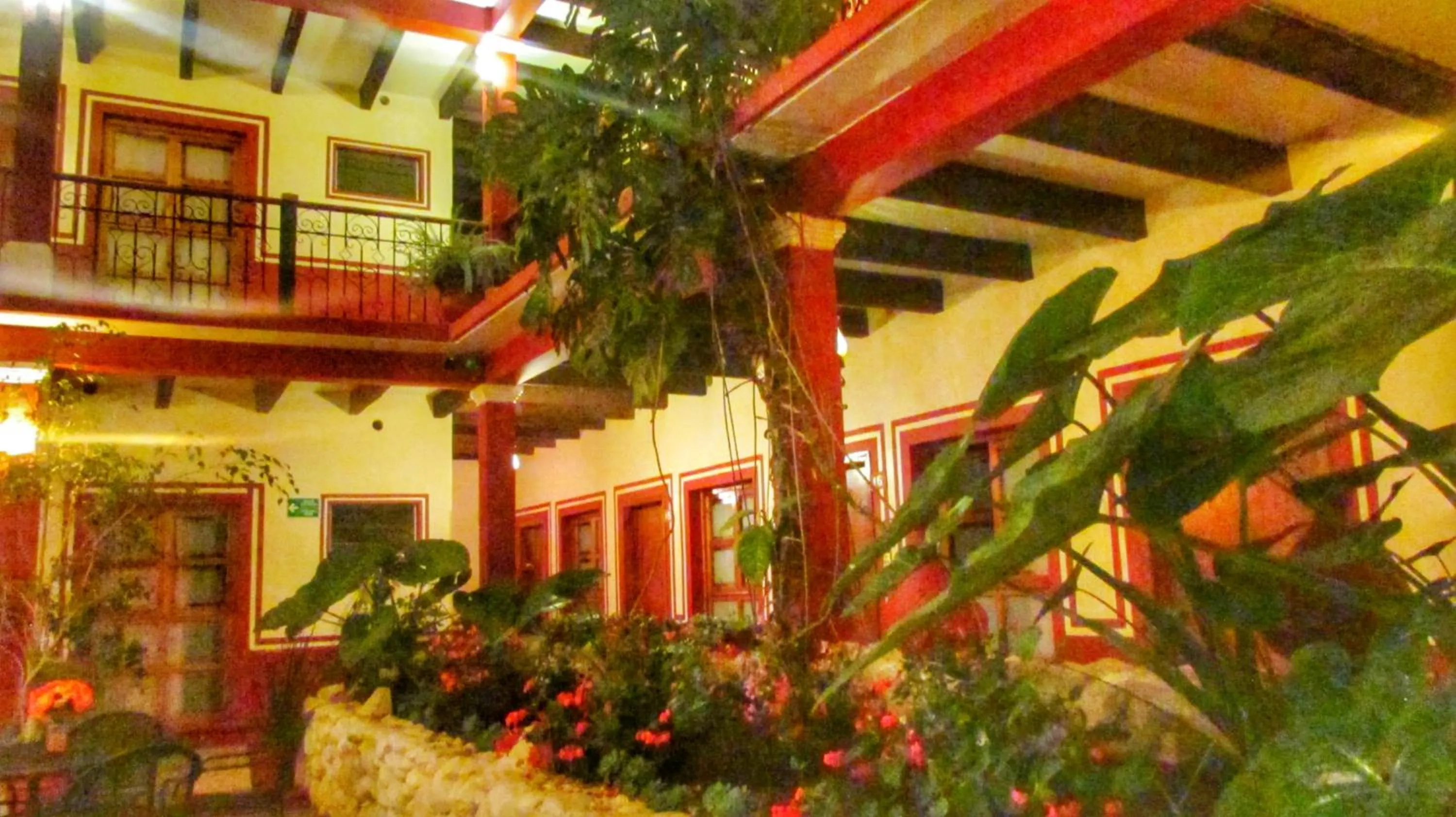 Garden in Hotel Real del Valle