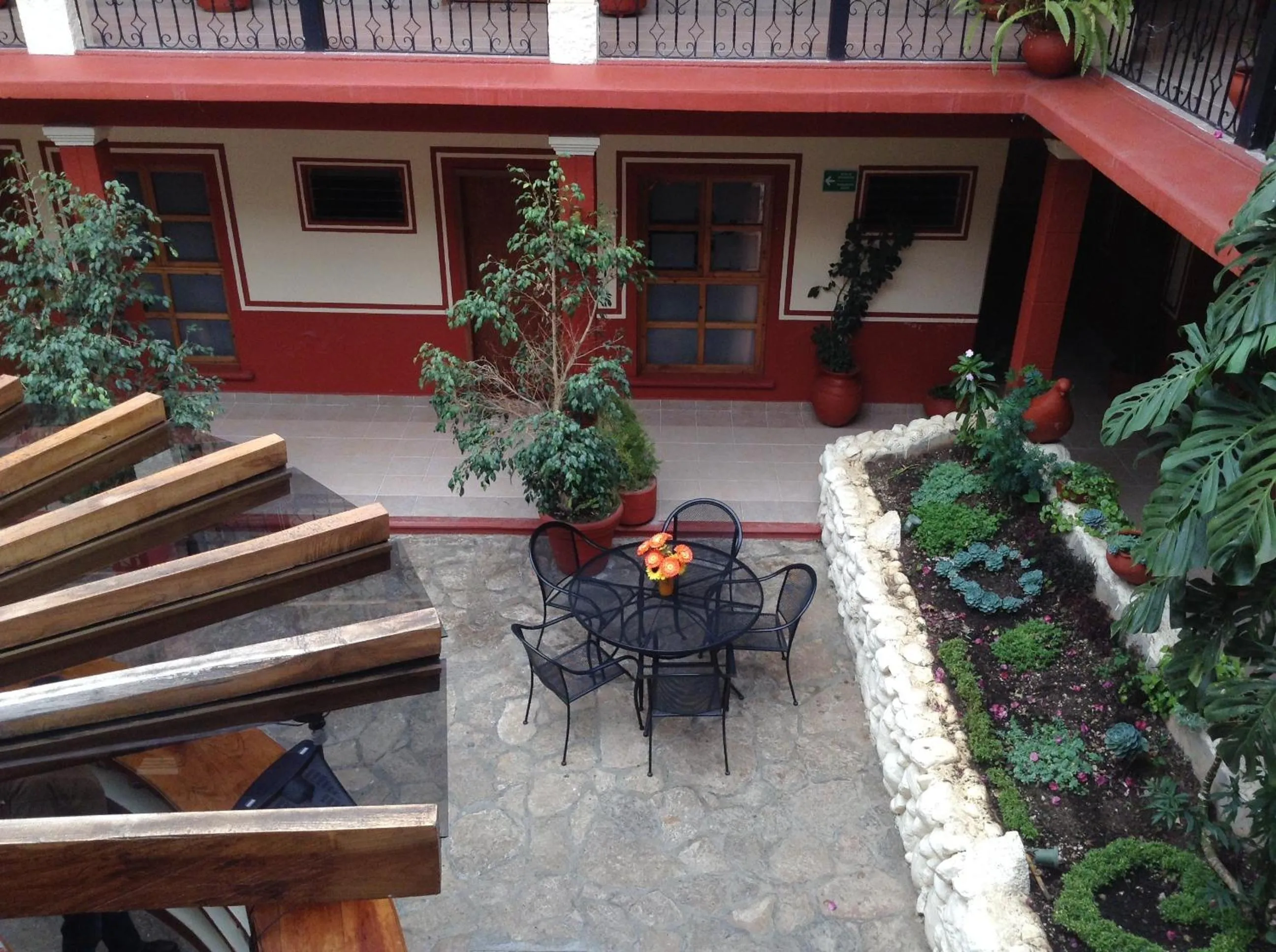 Garden in Hotel Real del Valle