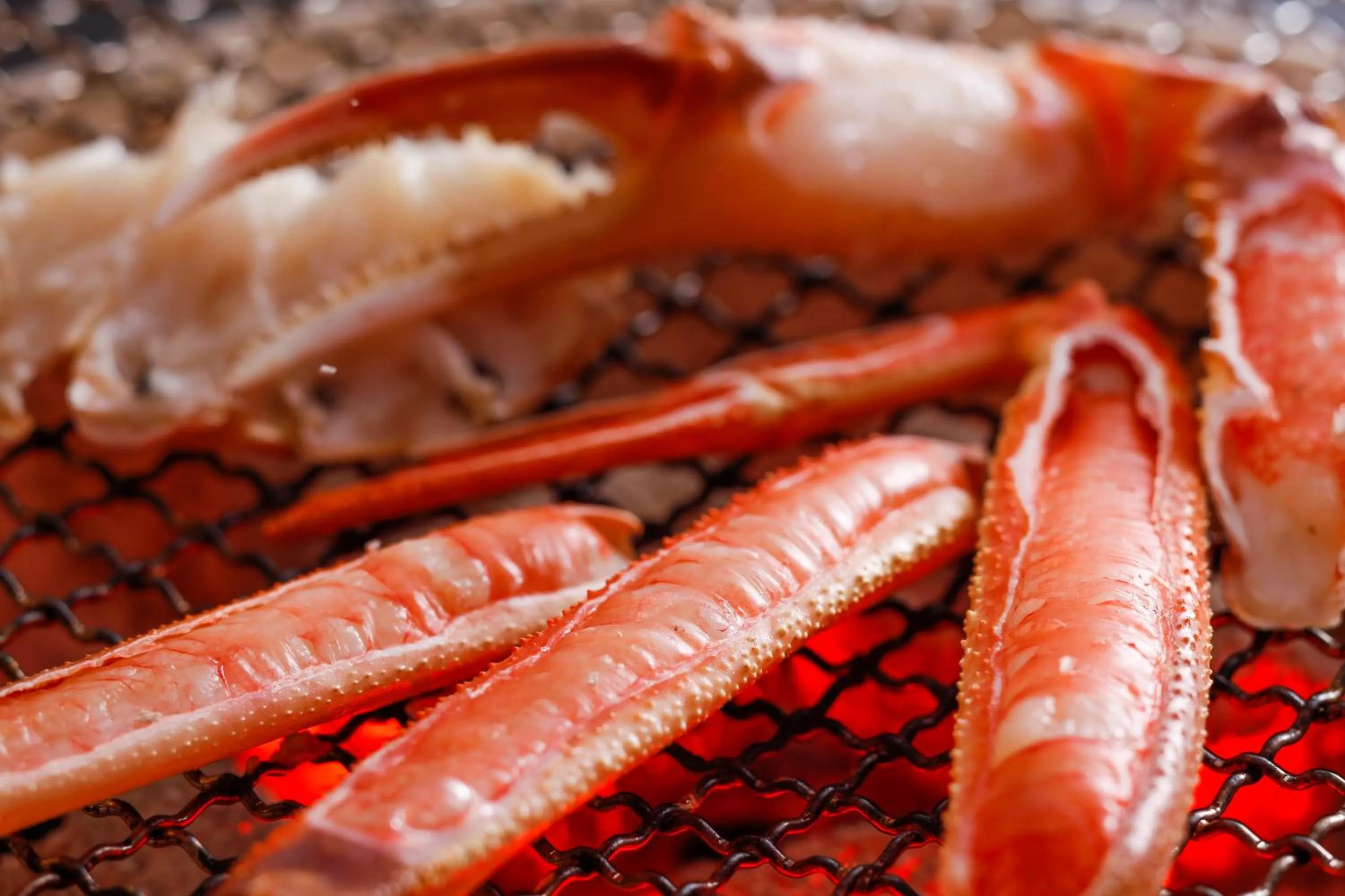 Food and drinks in Resorpia Kumihama