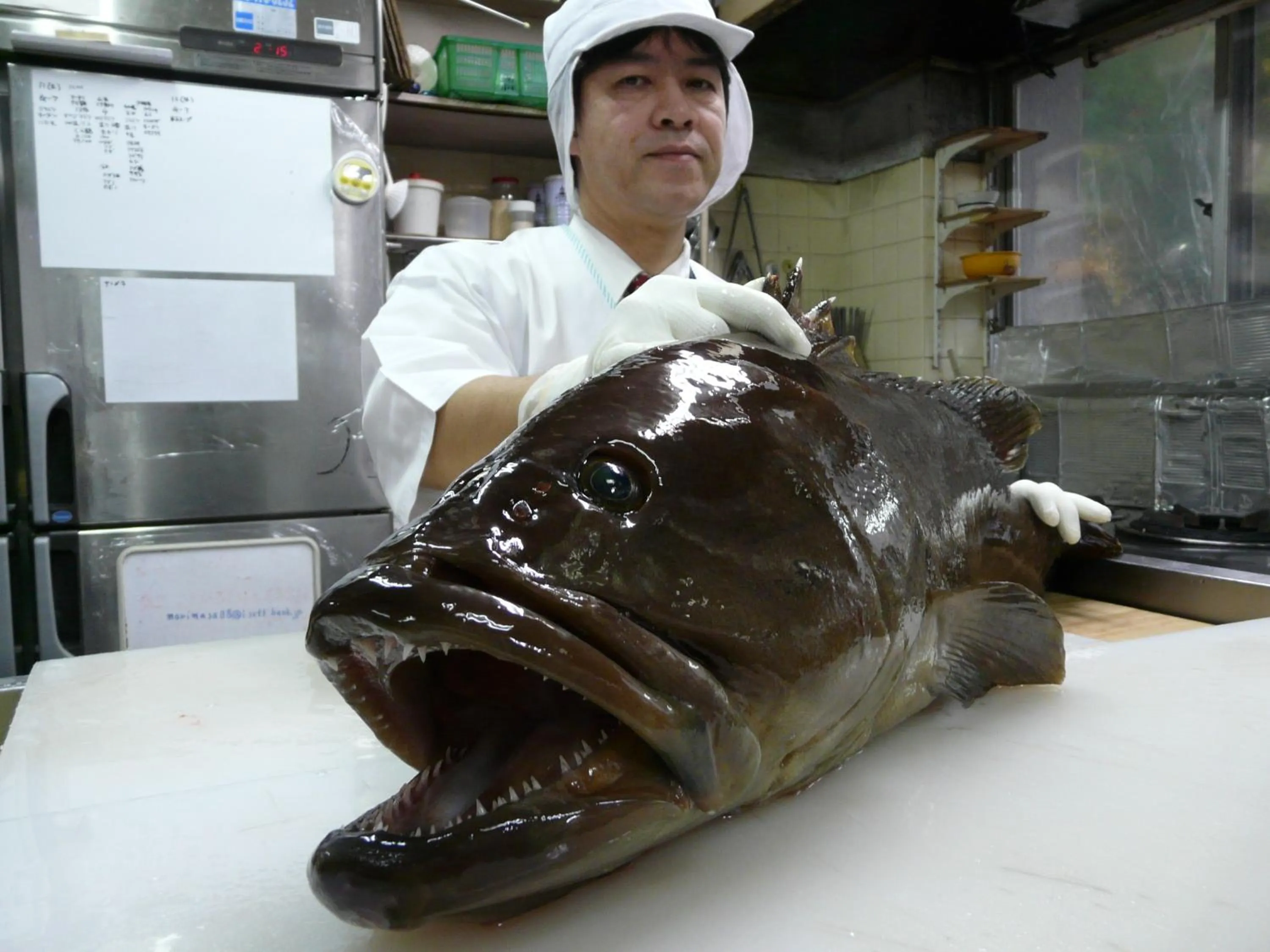 Staff in Shinwaka Lodge