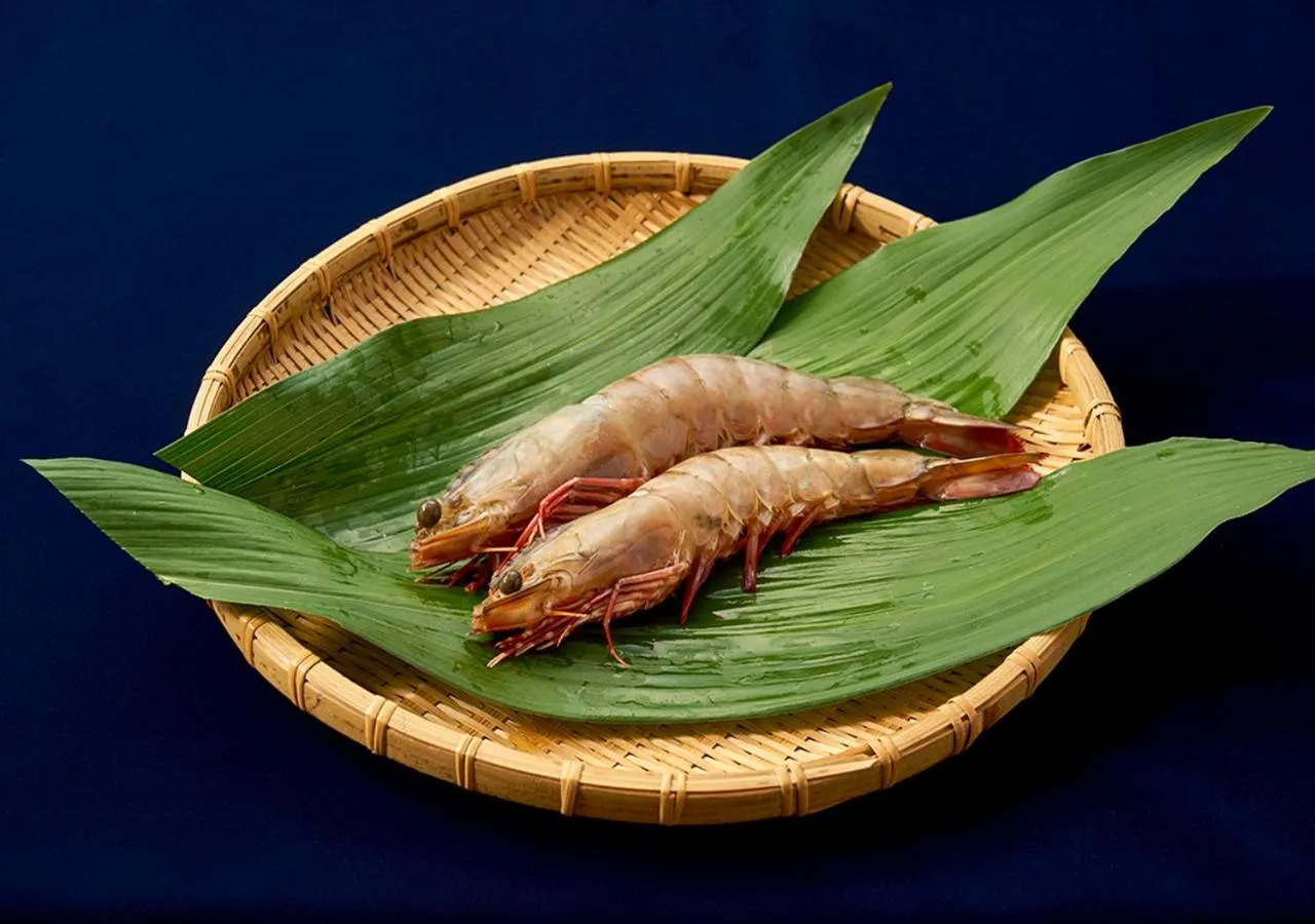 Food and drinks in Shinwaka Lodge