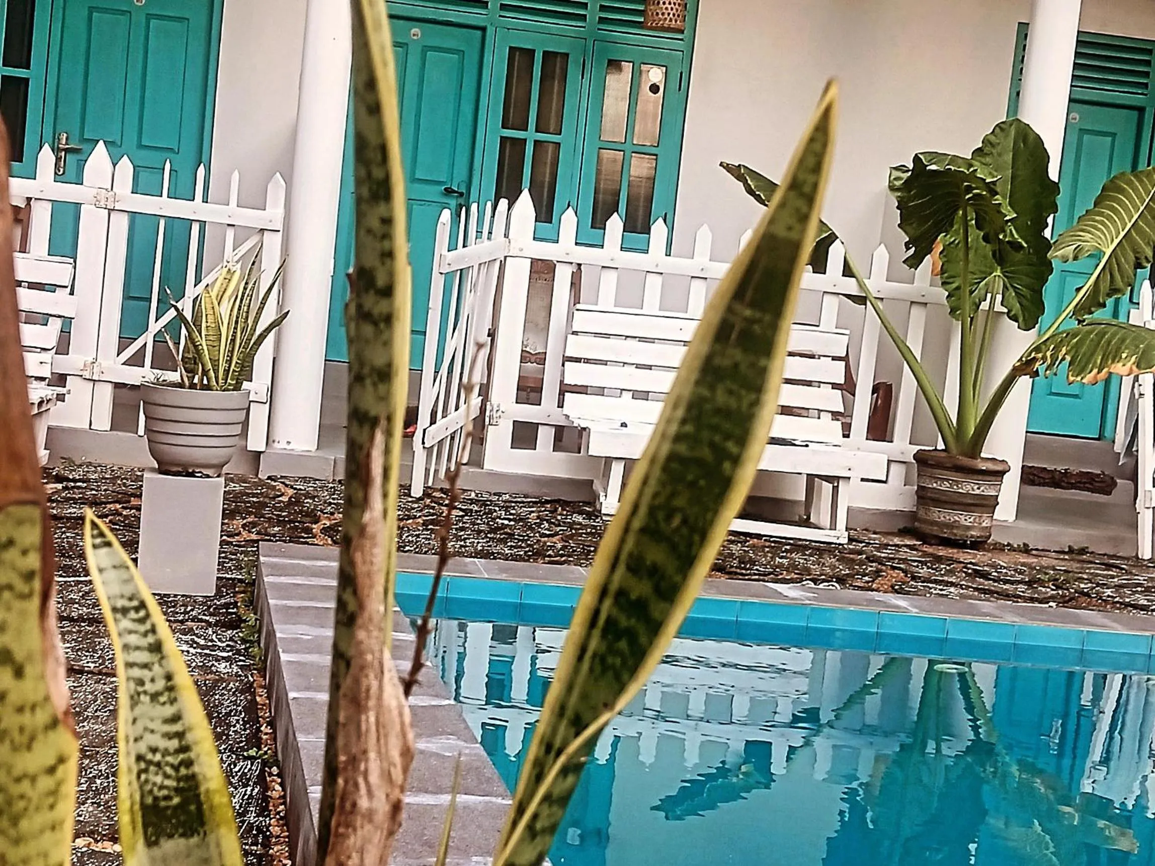 Asanka Surf House & Restaurant with pool