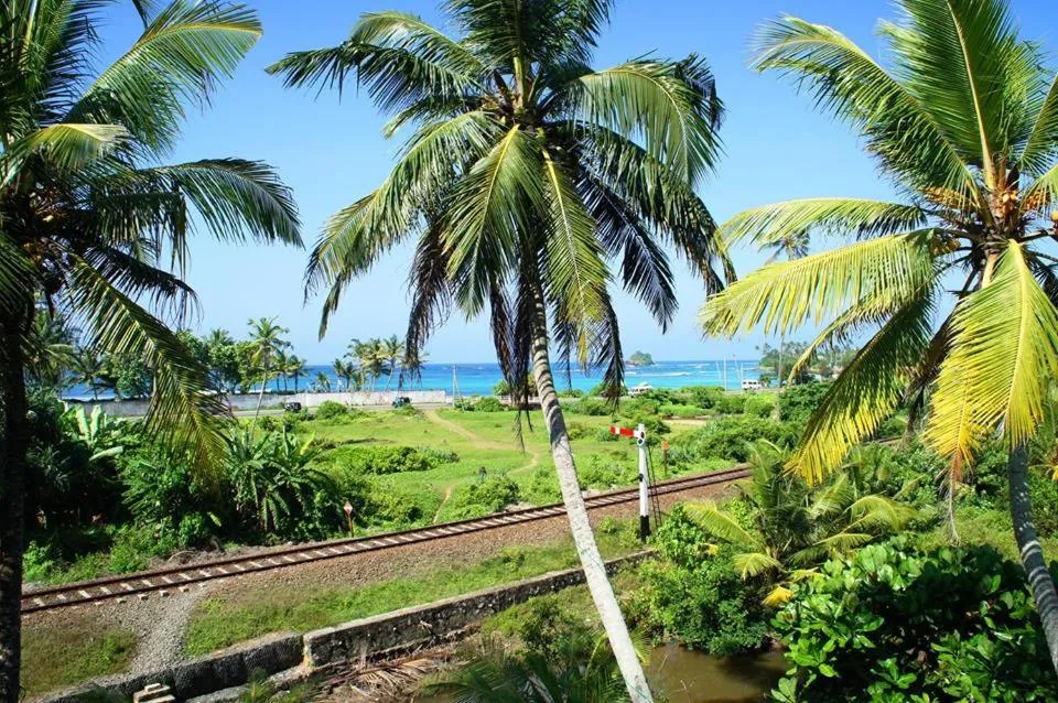 Natural landscape in Asanka Surf House & Restaurant with pool