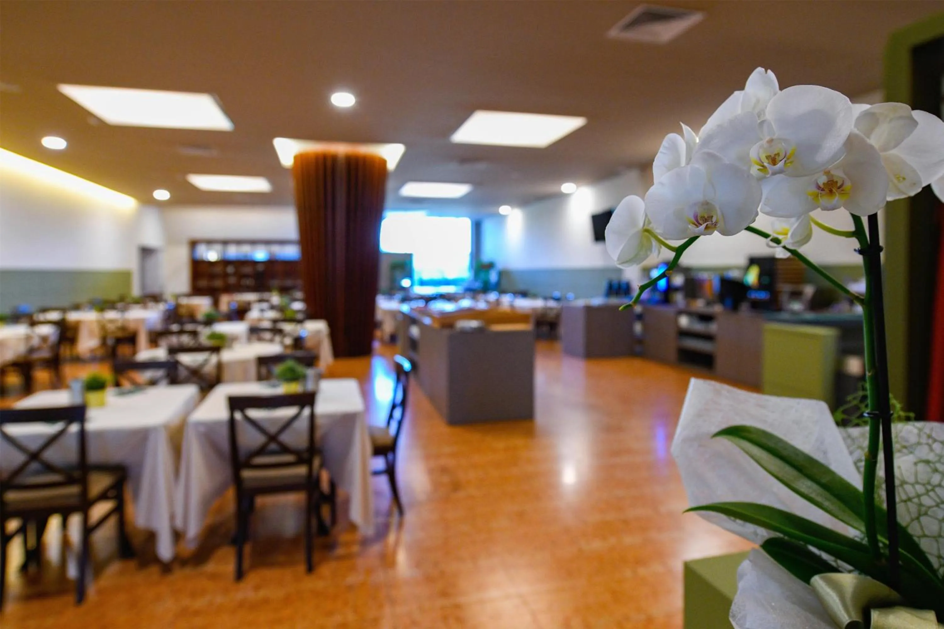 Restaurant/places to eat in Best Western Hotel Garda