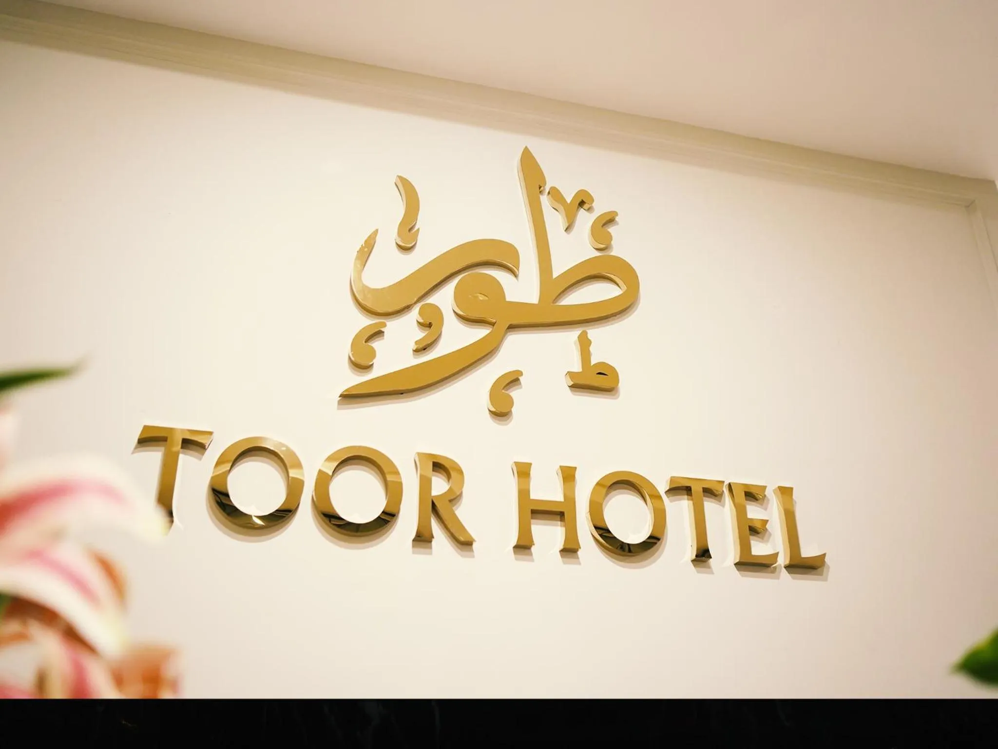 Property logo or sign in Toor Hotel Apartments