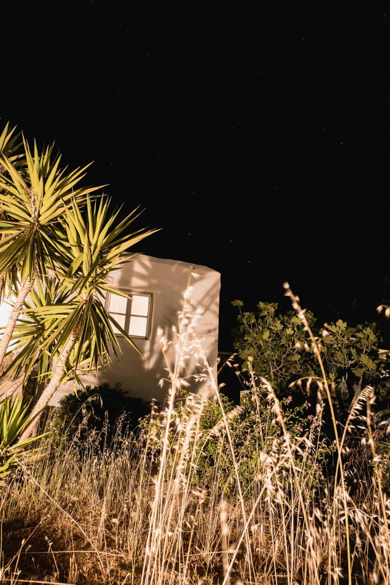 Garden in Soros Beach Antiparos