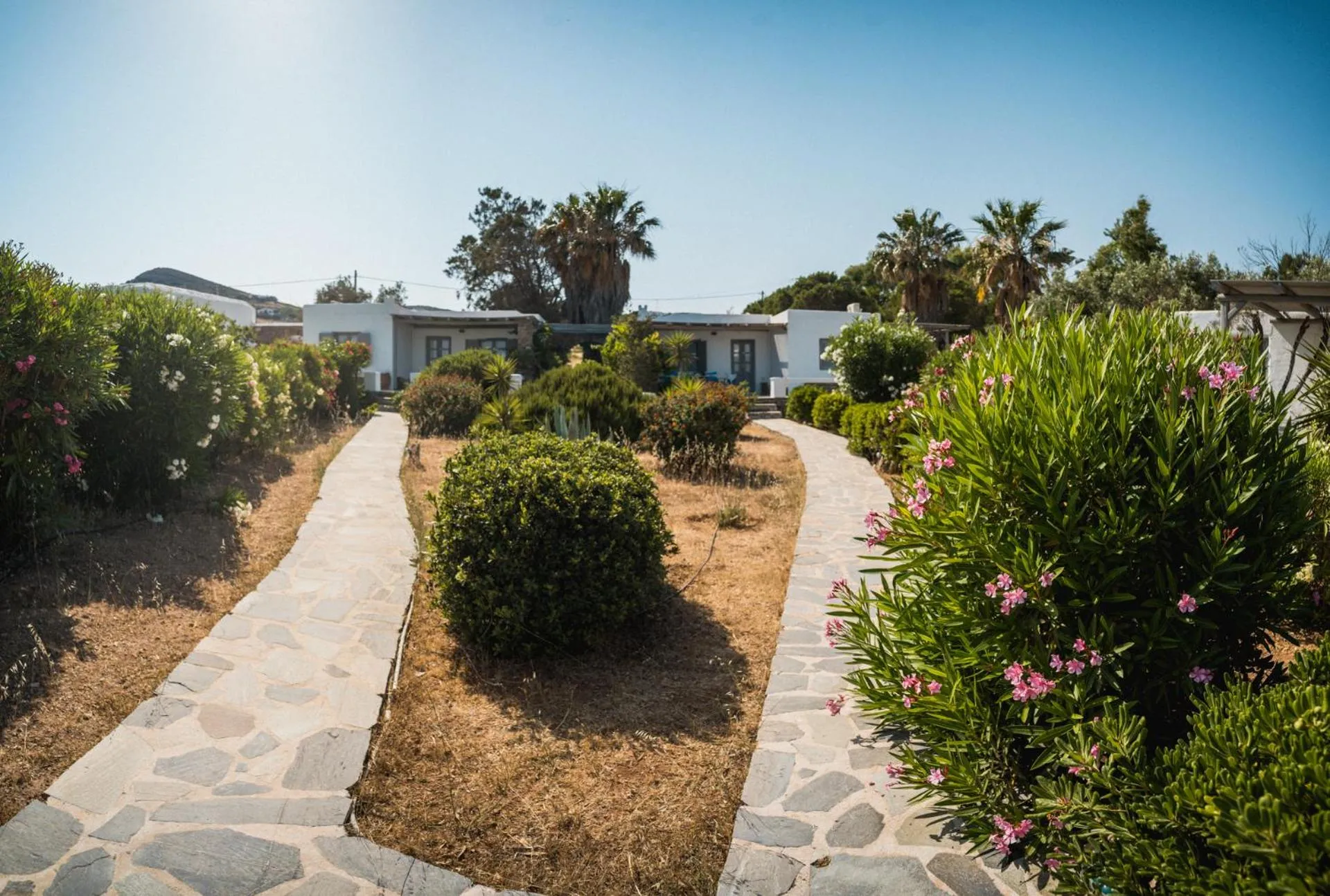 Garden in Soros Beach Antiparos