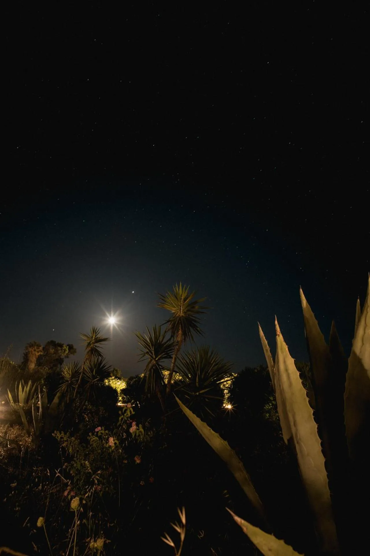 Garden in Soros Beach Antiparos