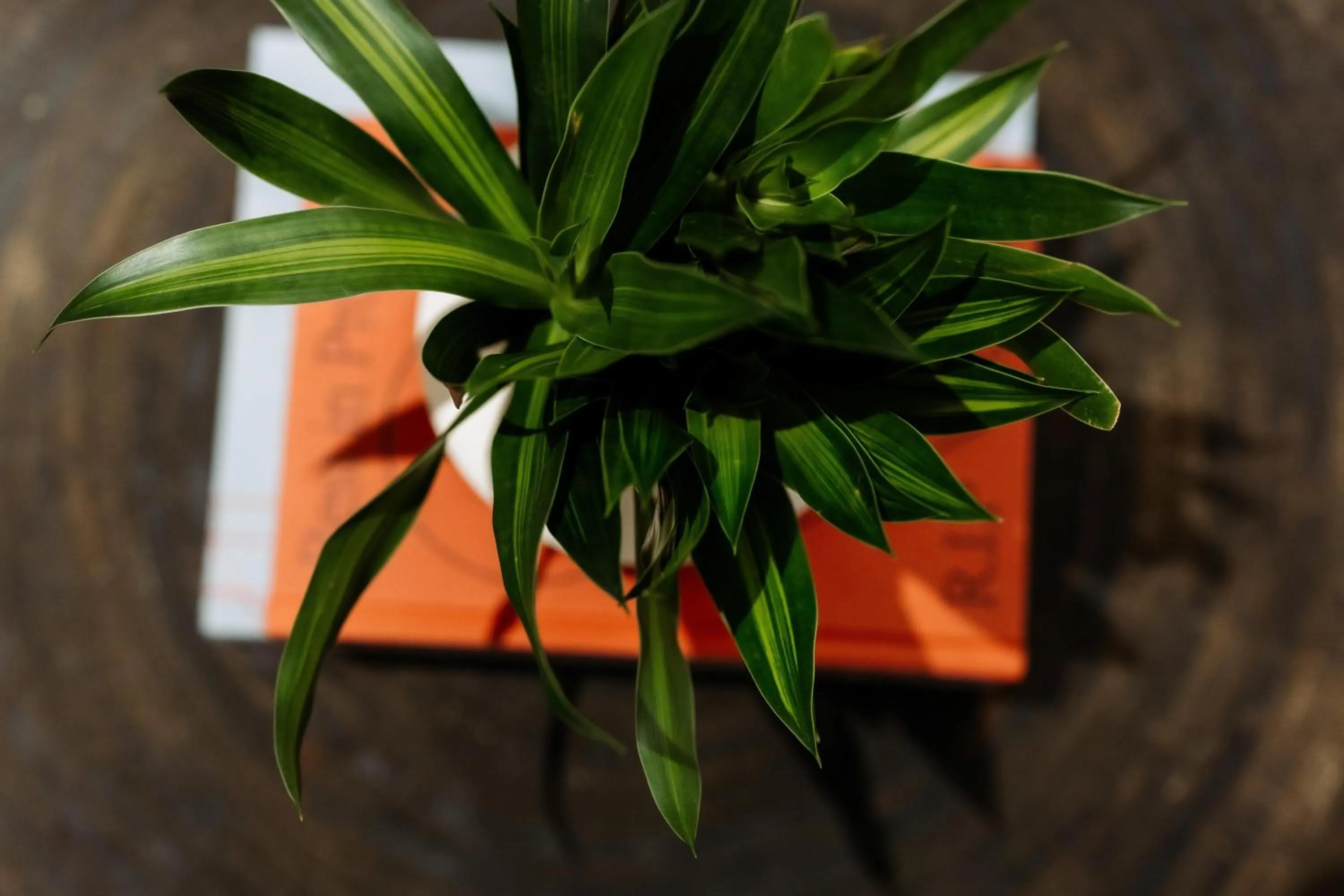 Decorative detail in Souphattra Hotel Vientiane