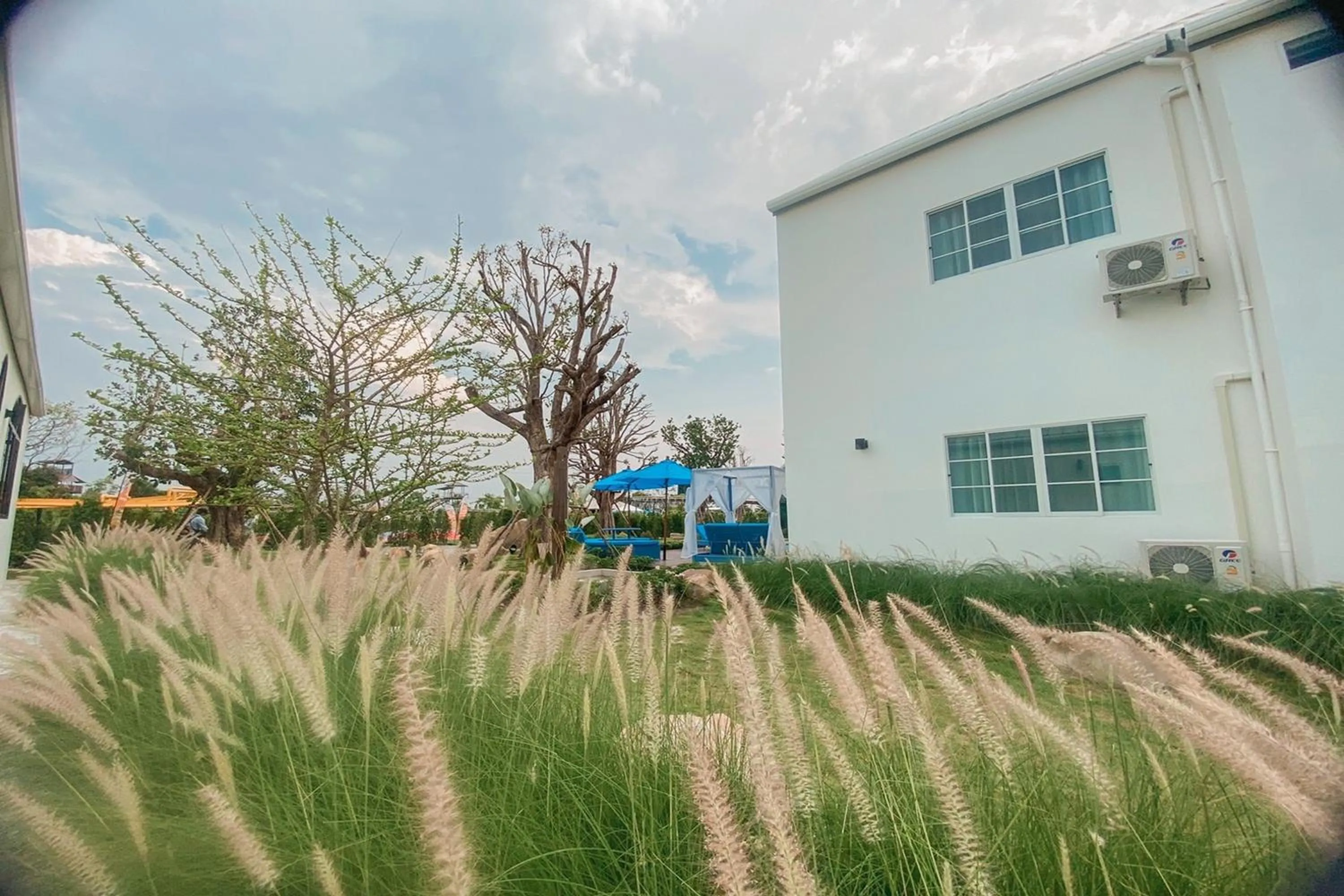 Garden view in Buffalo Island Resort