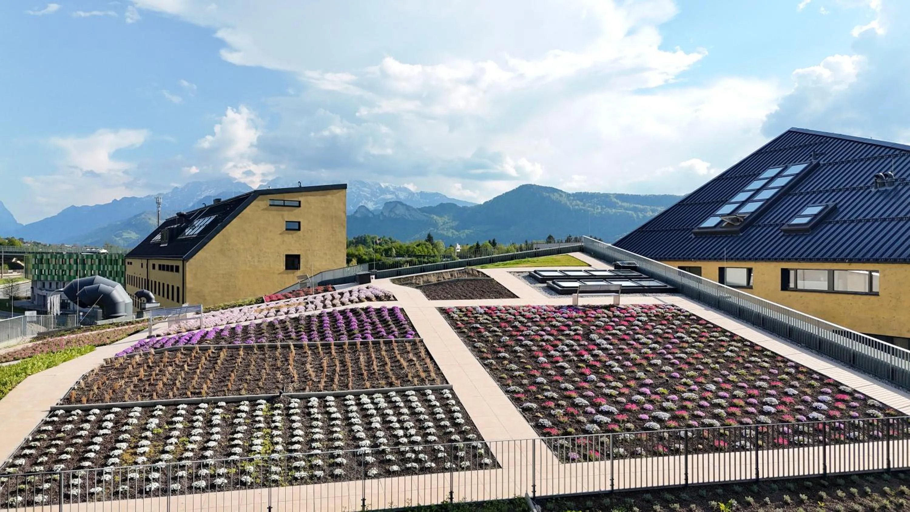 Garden in Hotel im Zentrum für Visionen
