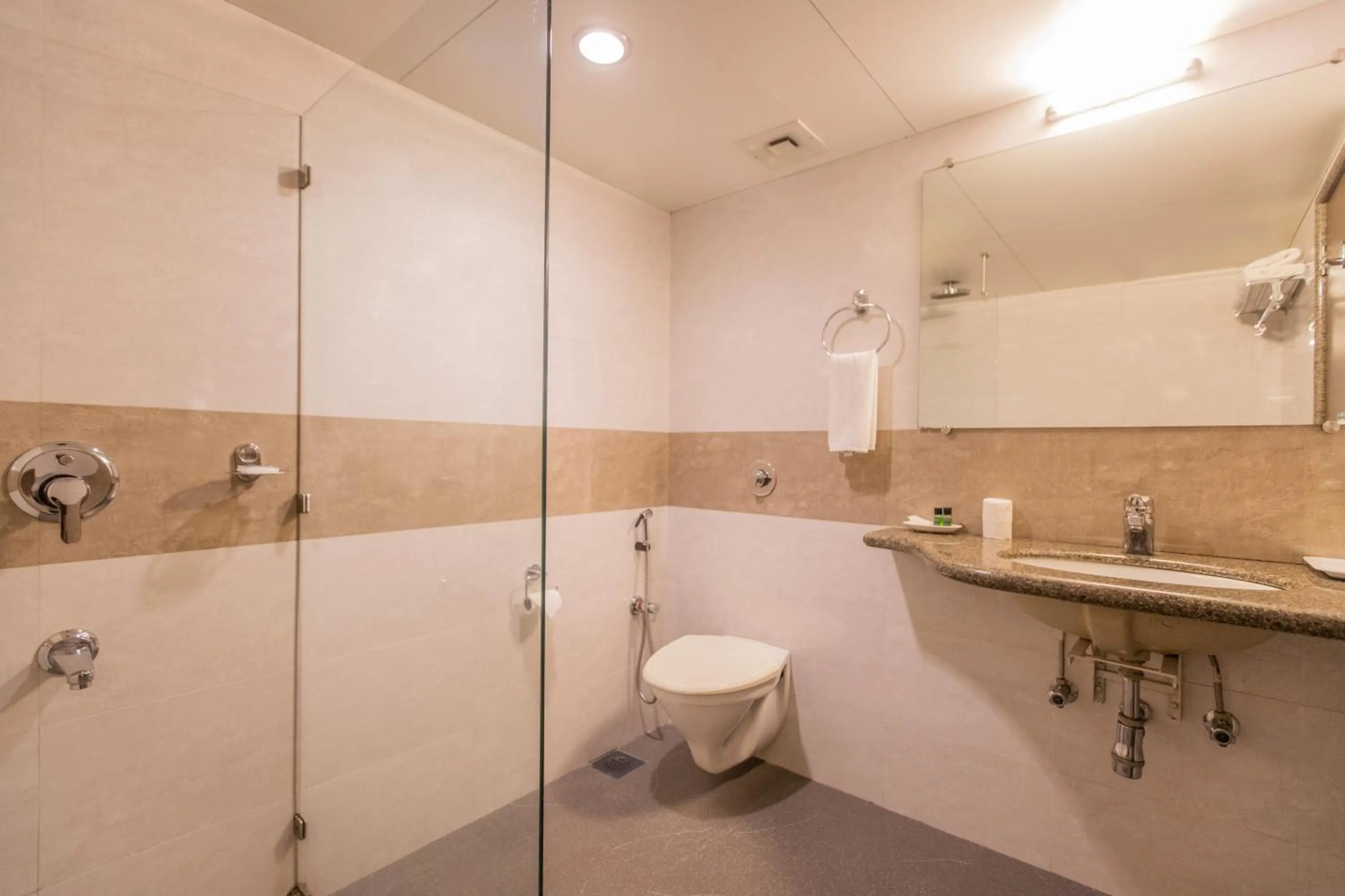 Bathroom in Nanutel Margao