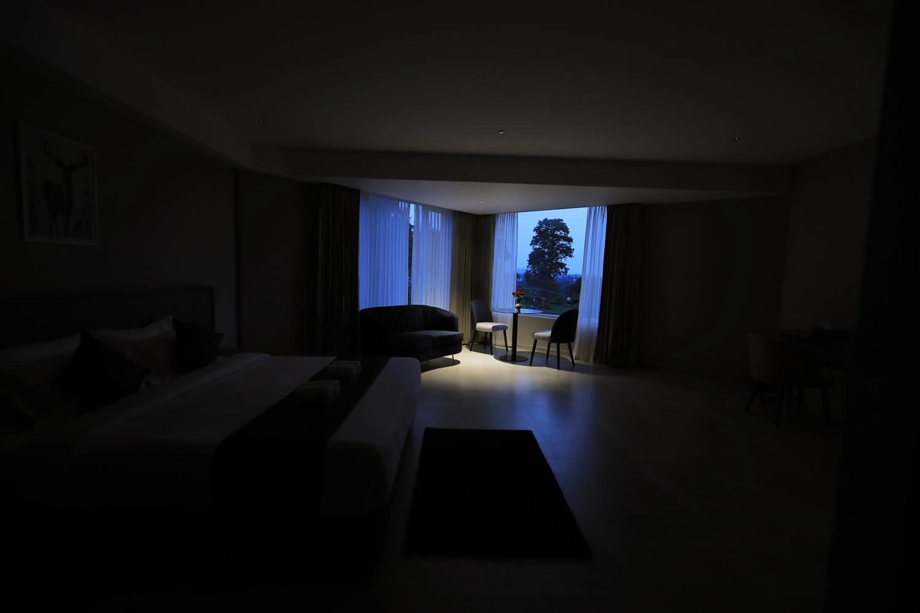 Night, Bed in Mount Land