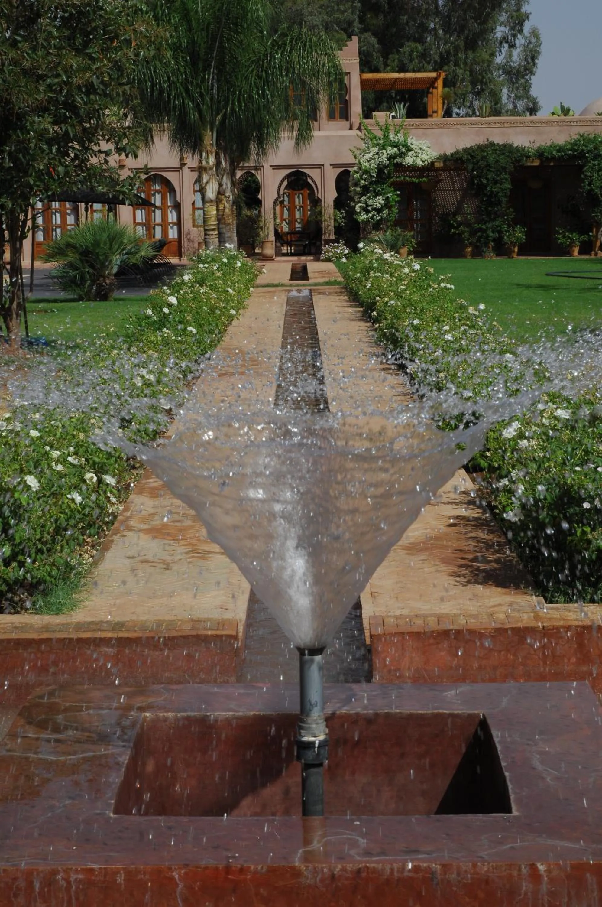 Garden in Maidan El Arsa