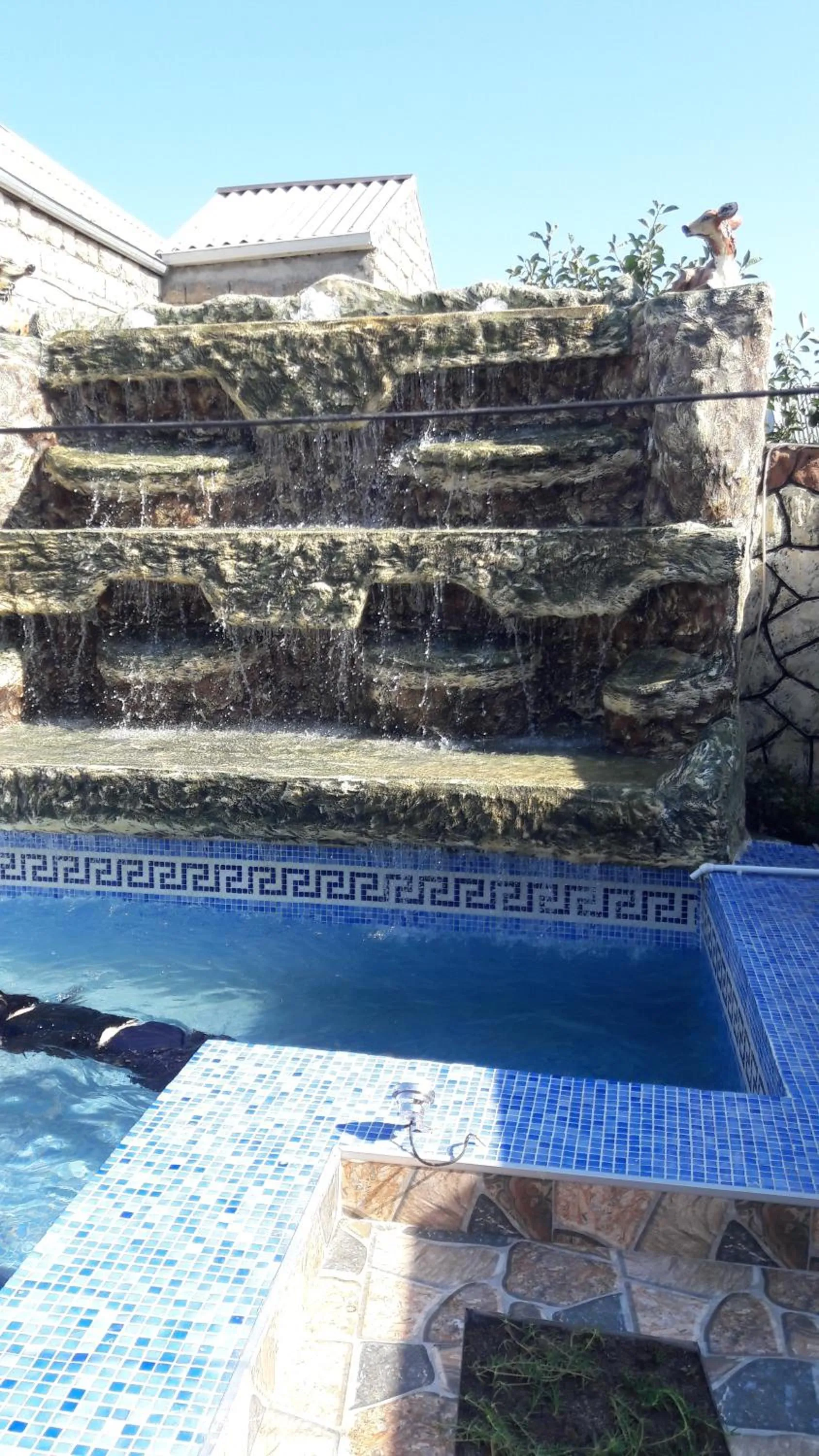 Swimming pool in Hasanovs Villa