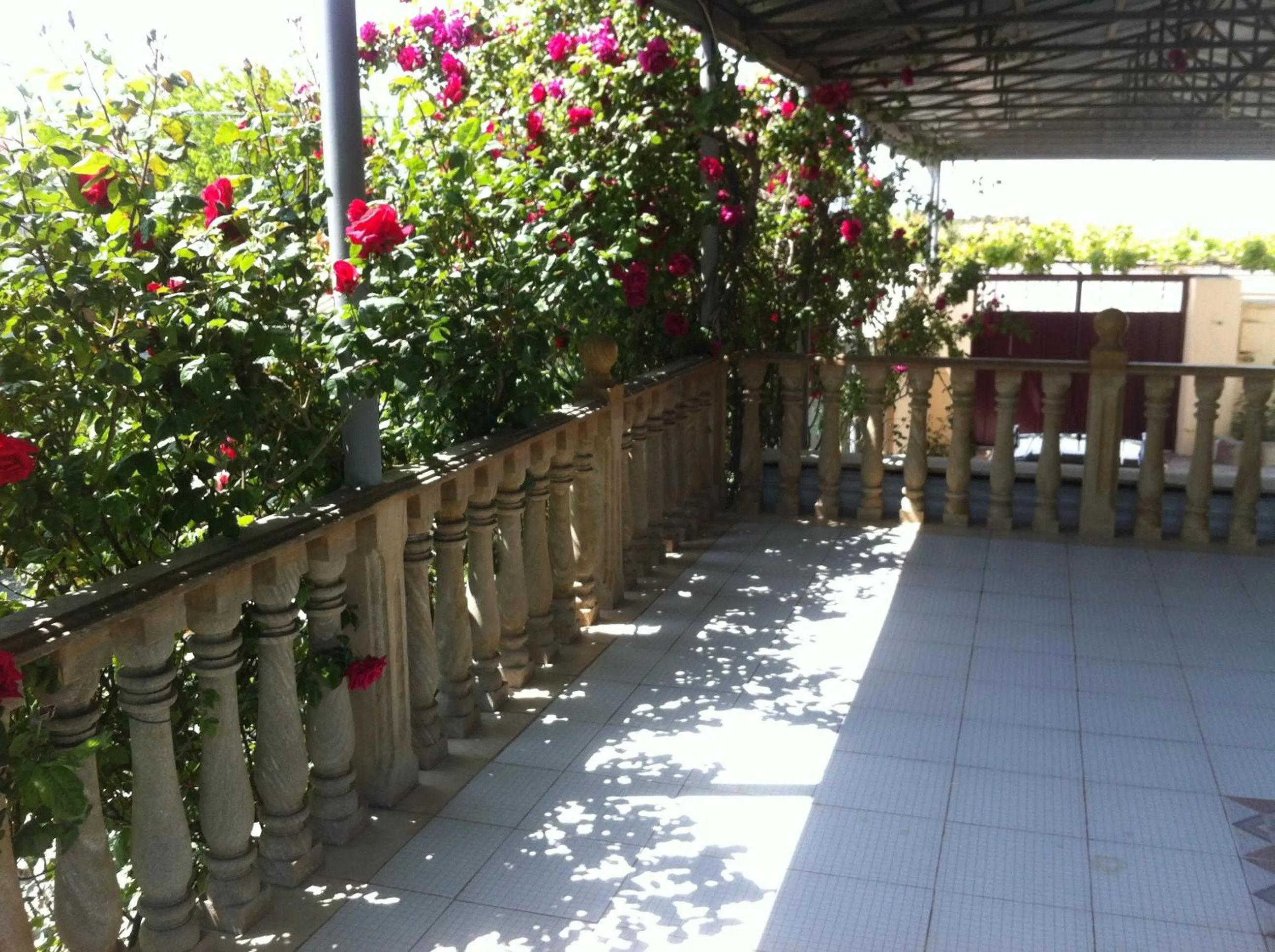 Property building in Hasanovs Villa