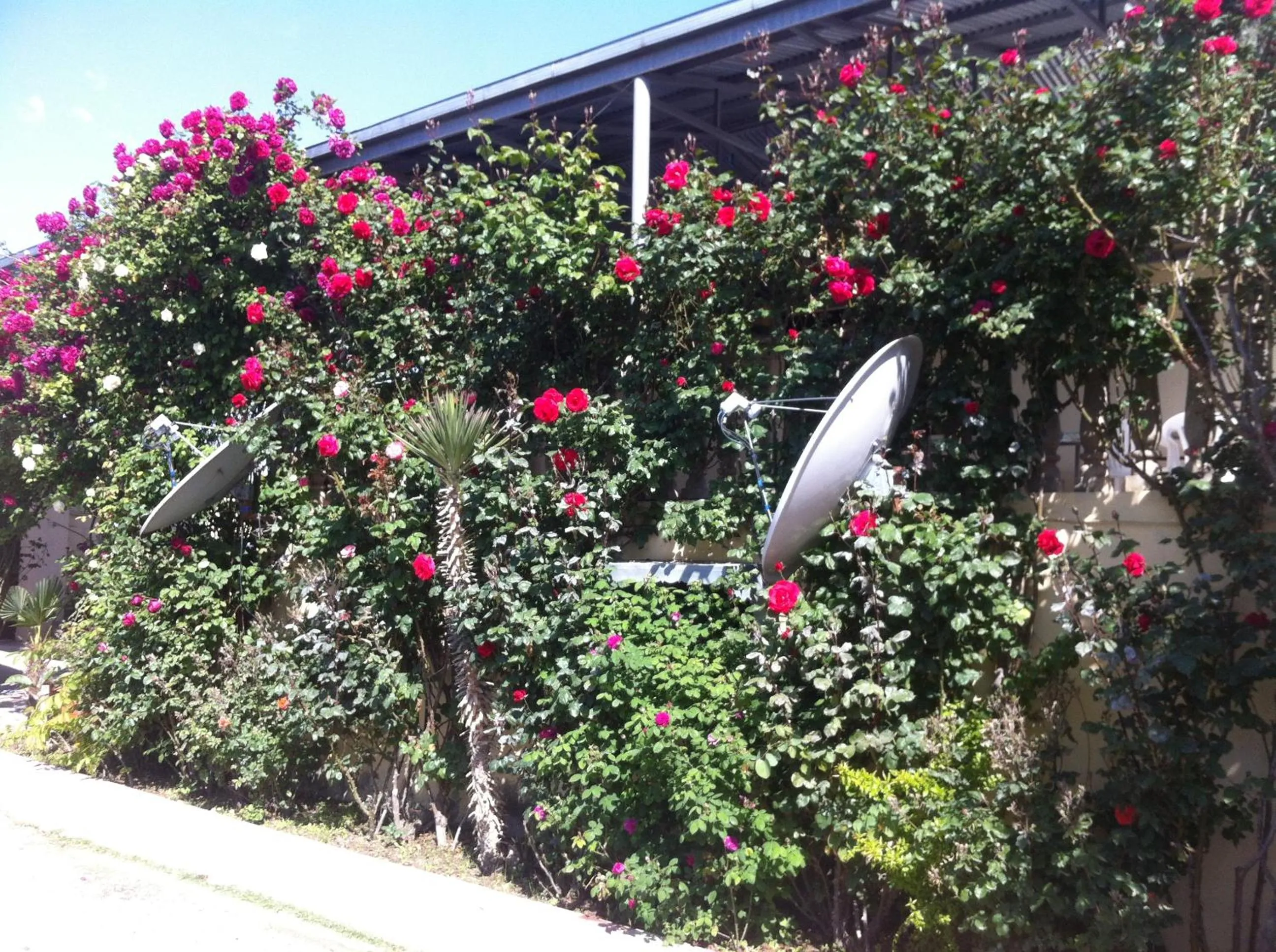 Property building in Hasanovs Villa