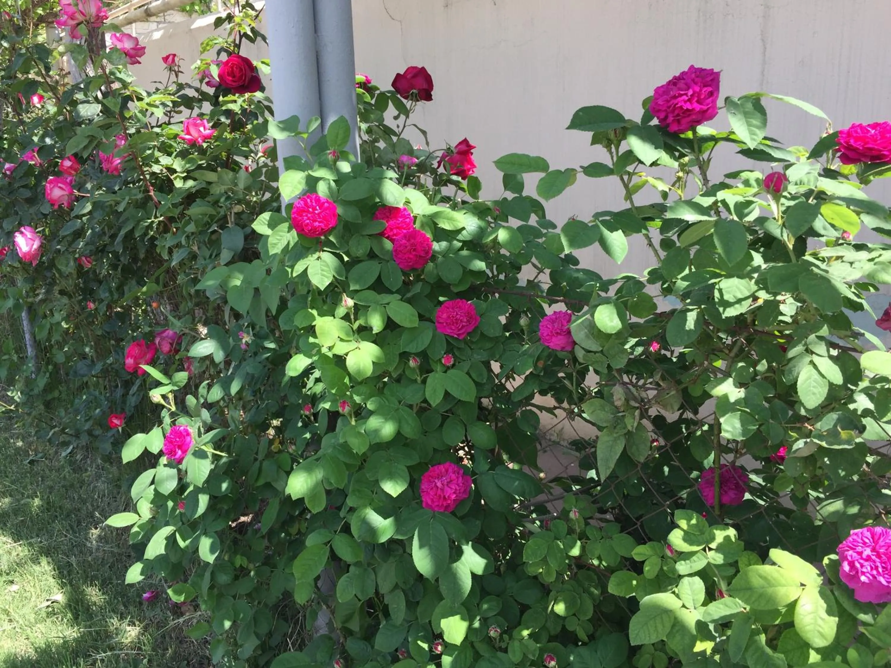 Street view in Hasanovs Villa