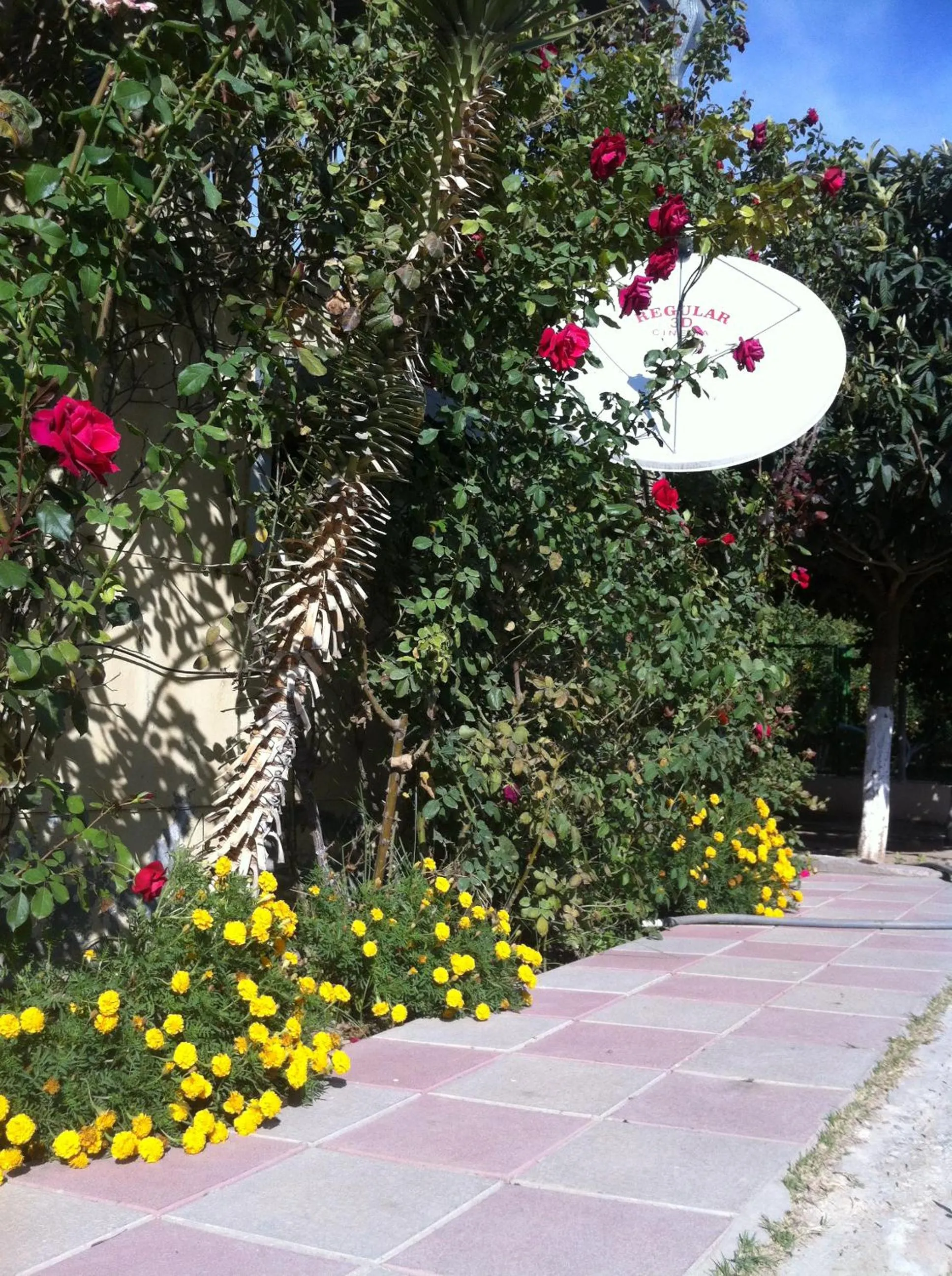 Property building in Hasanovs Villa