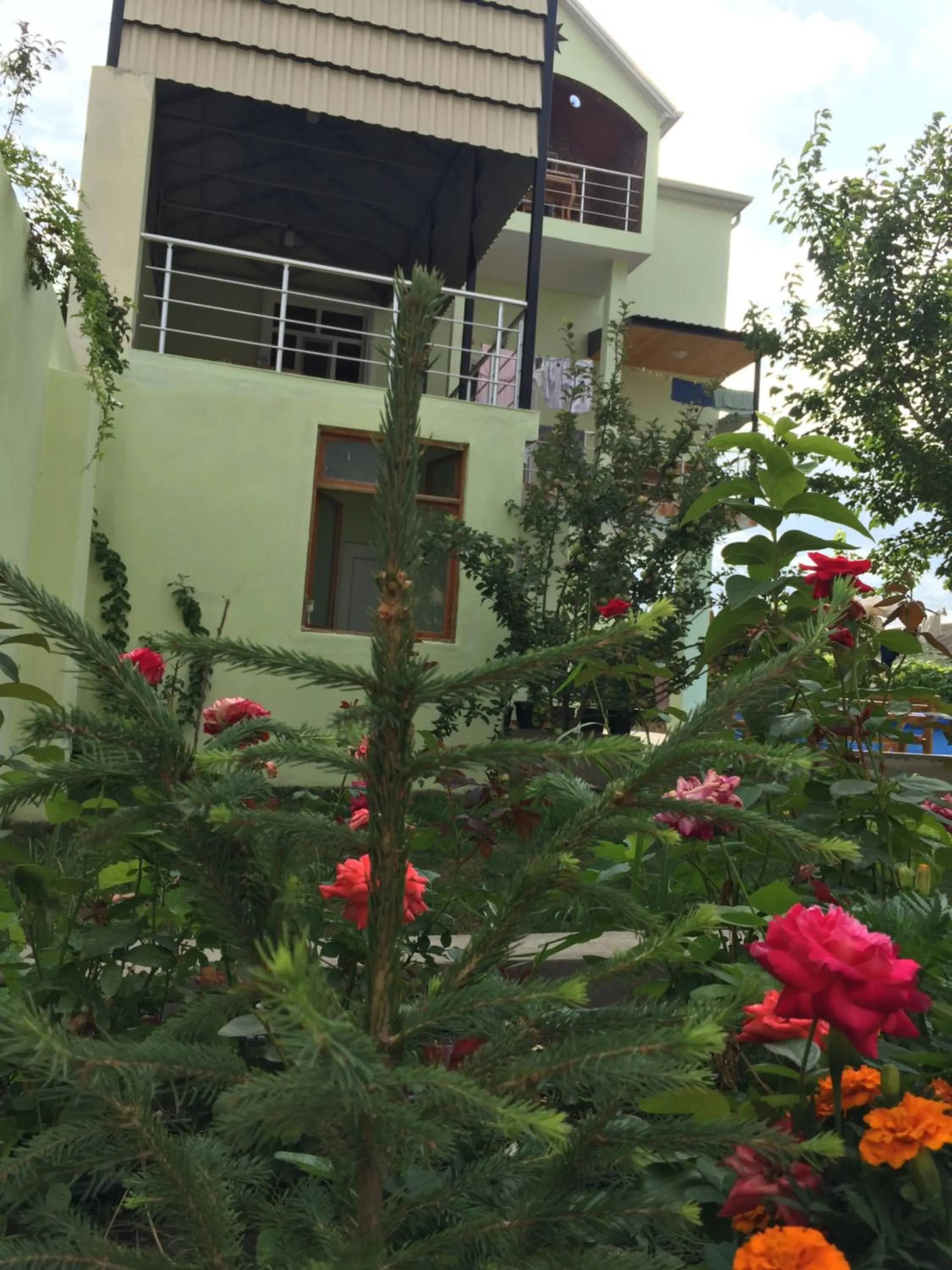 Garden view in Hasanovs Villa