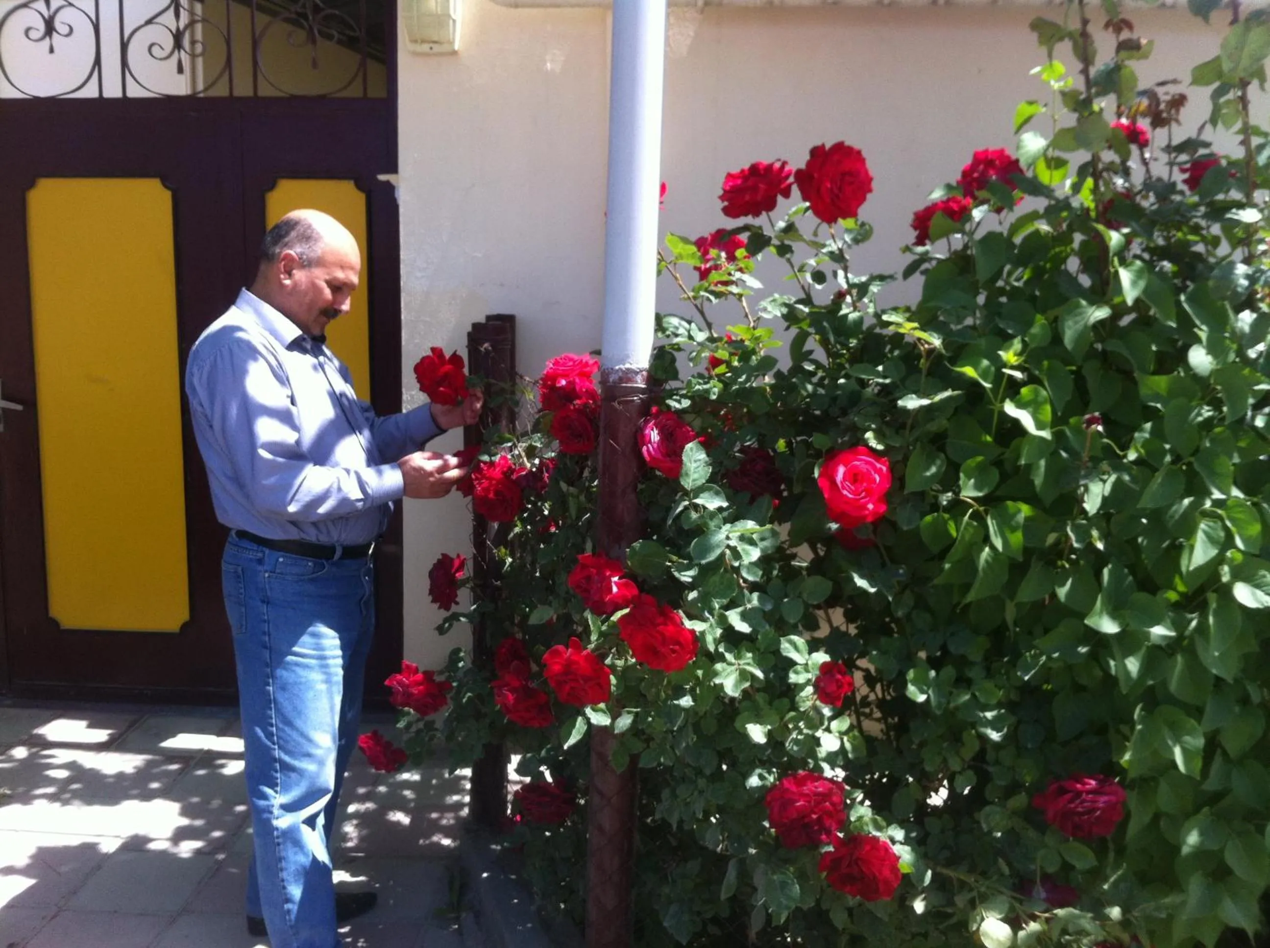 Natural landscape in Hasanovs Villa