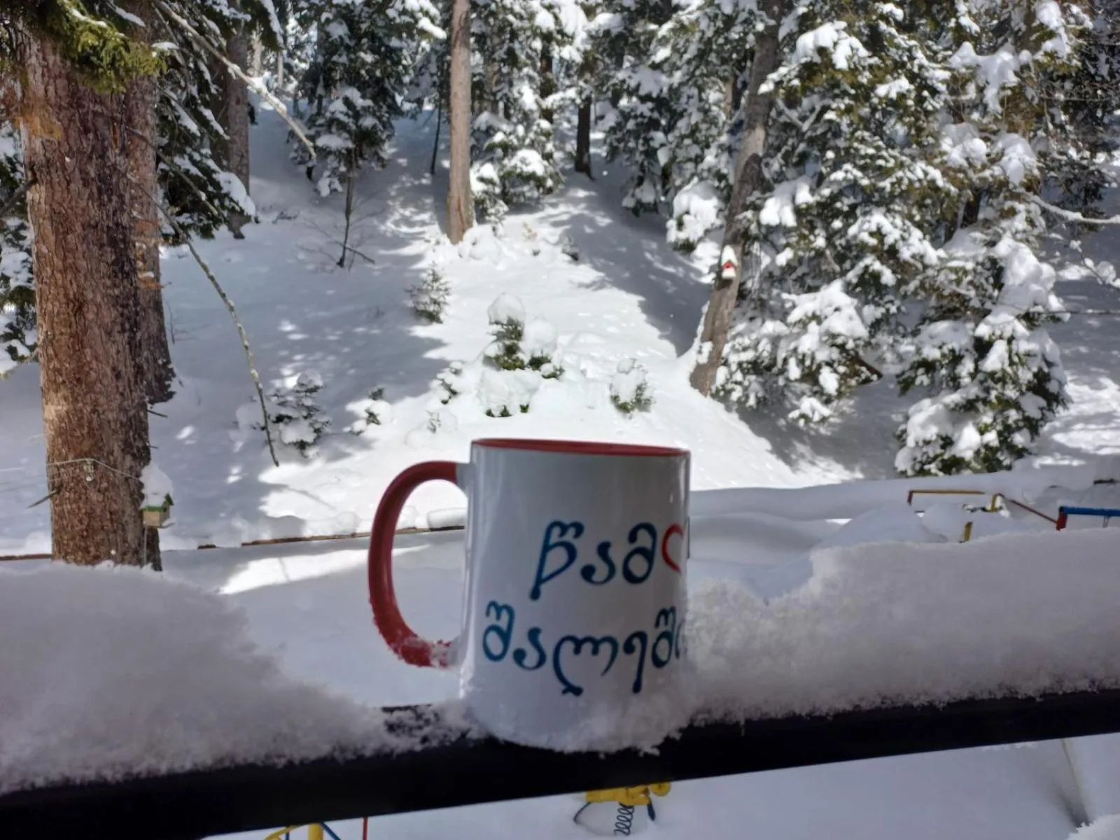 Boutique Hotel Shale