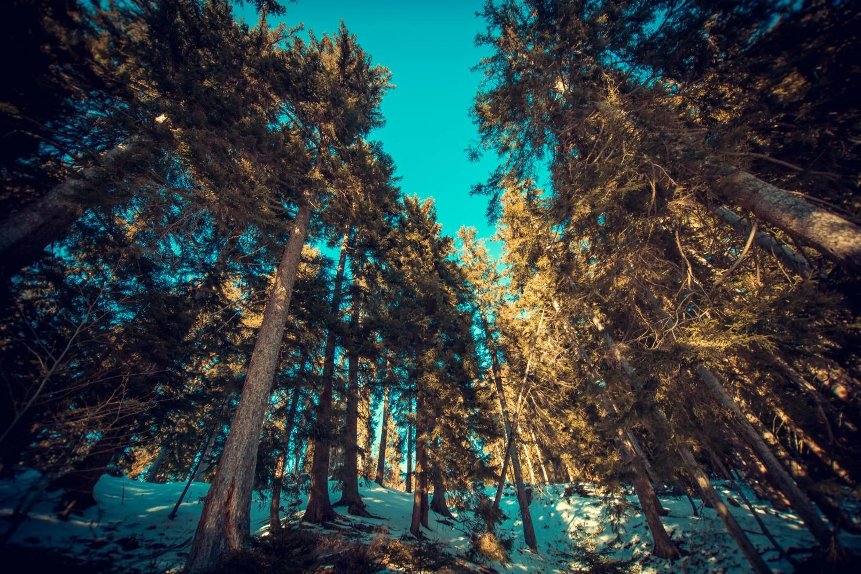 Natural landscape in Boutique Hotel Shale