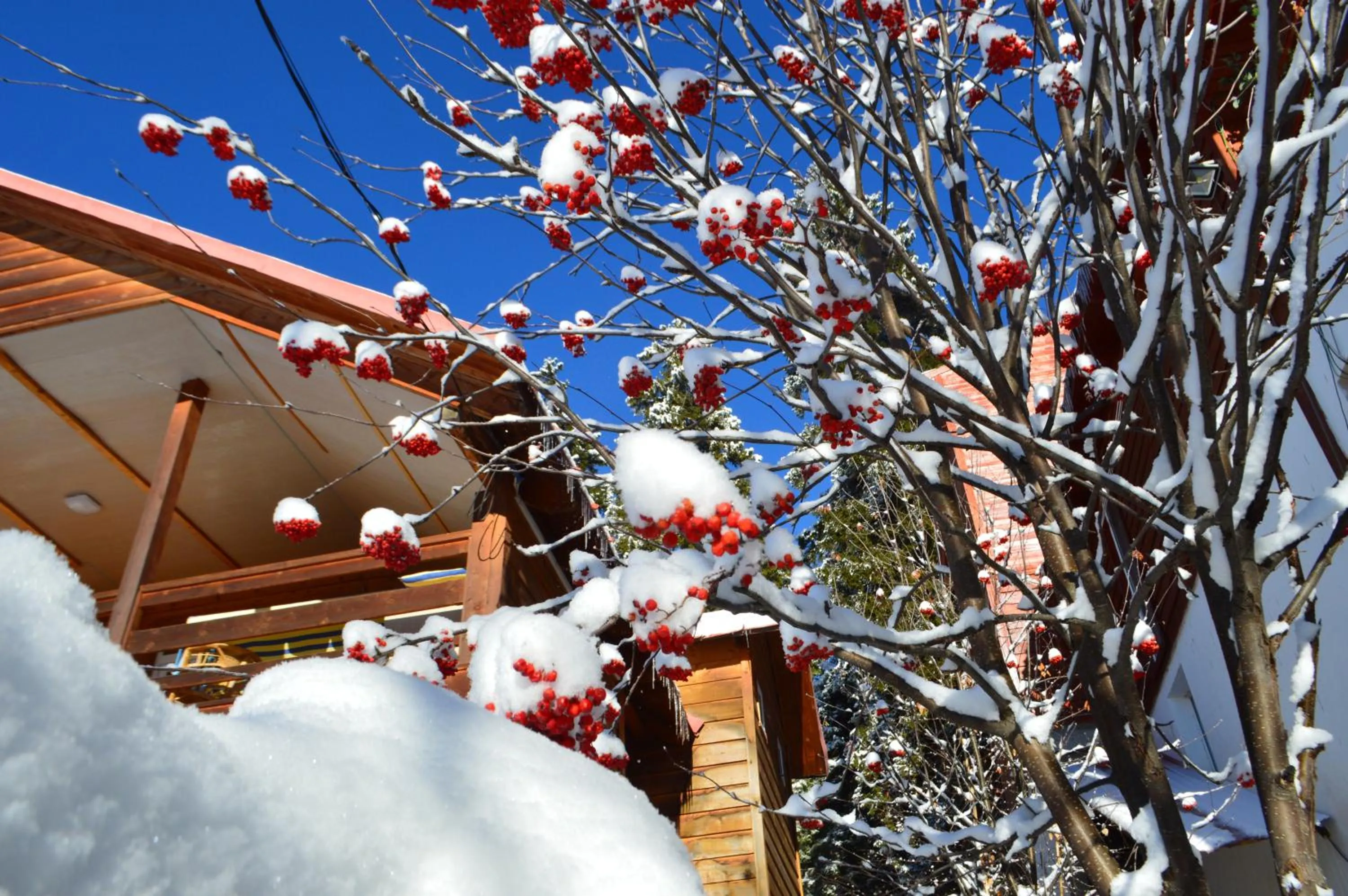 Boutique Hotel Shale