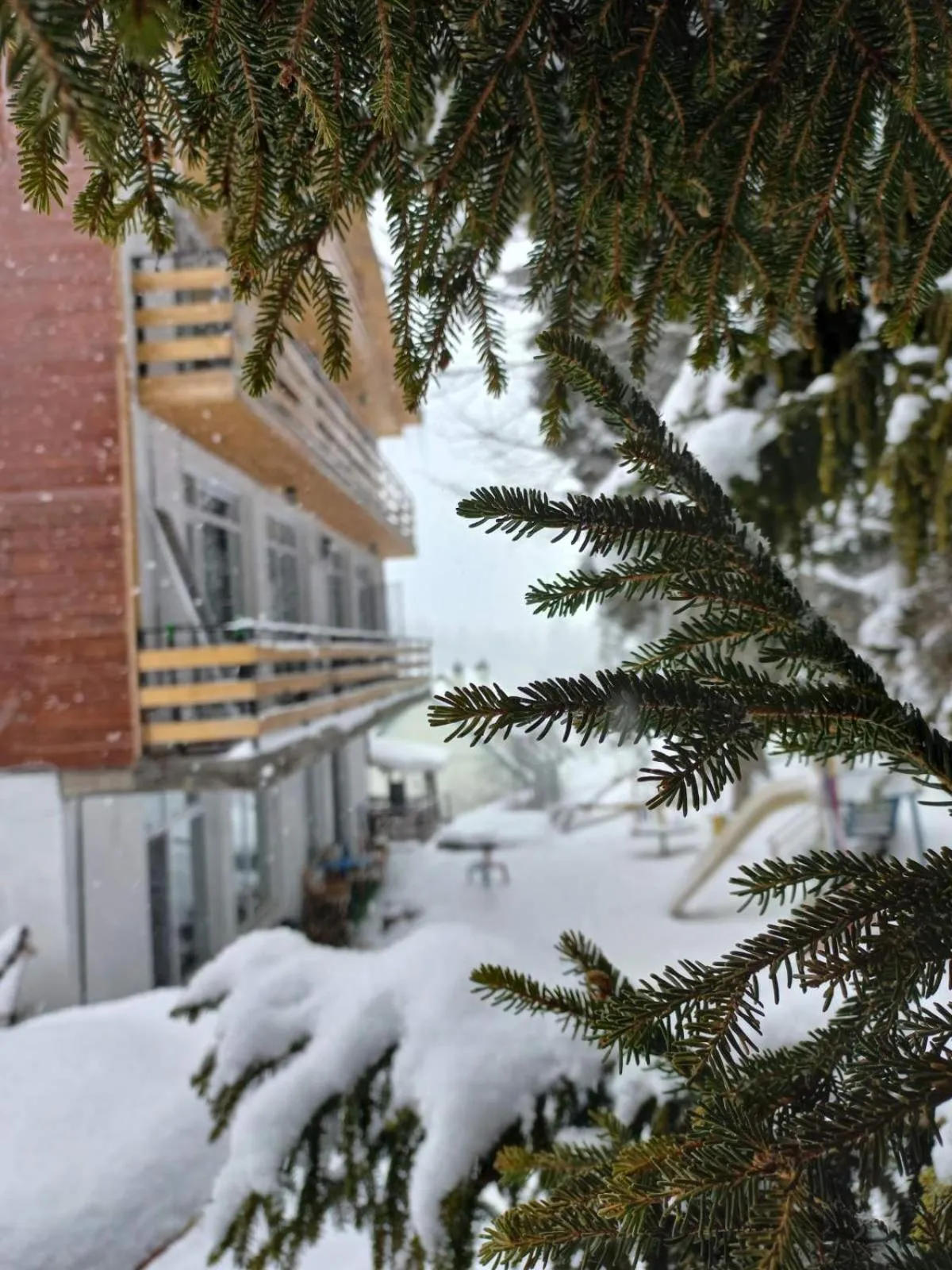 Boutique Hotel Shale