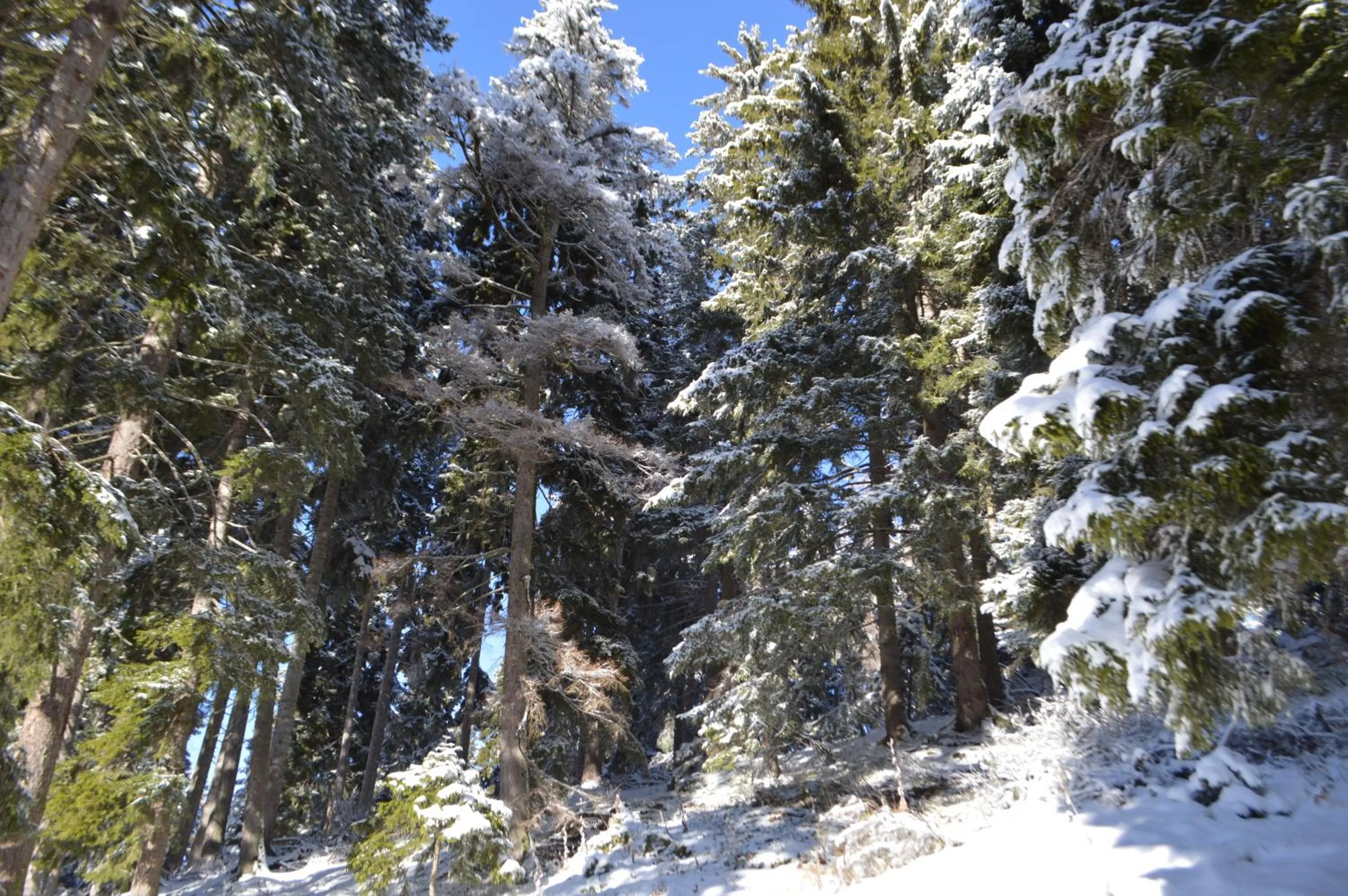 Natural landscape in Boutique Hotel Shale