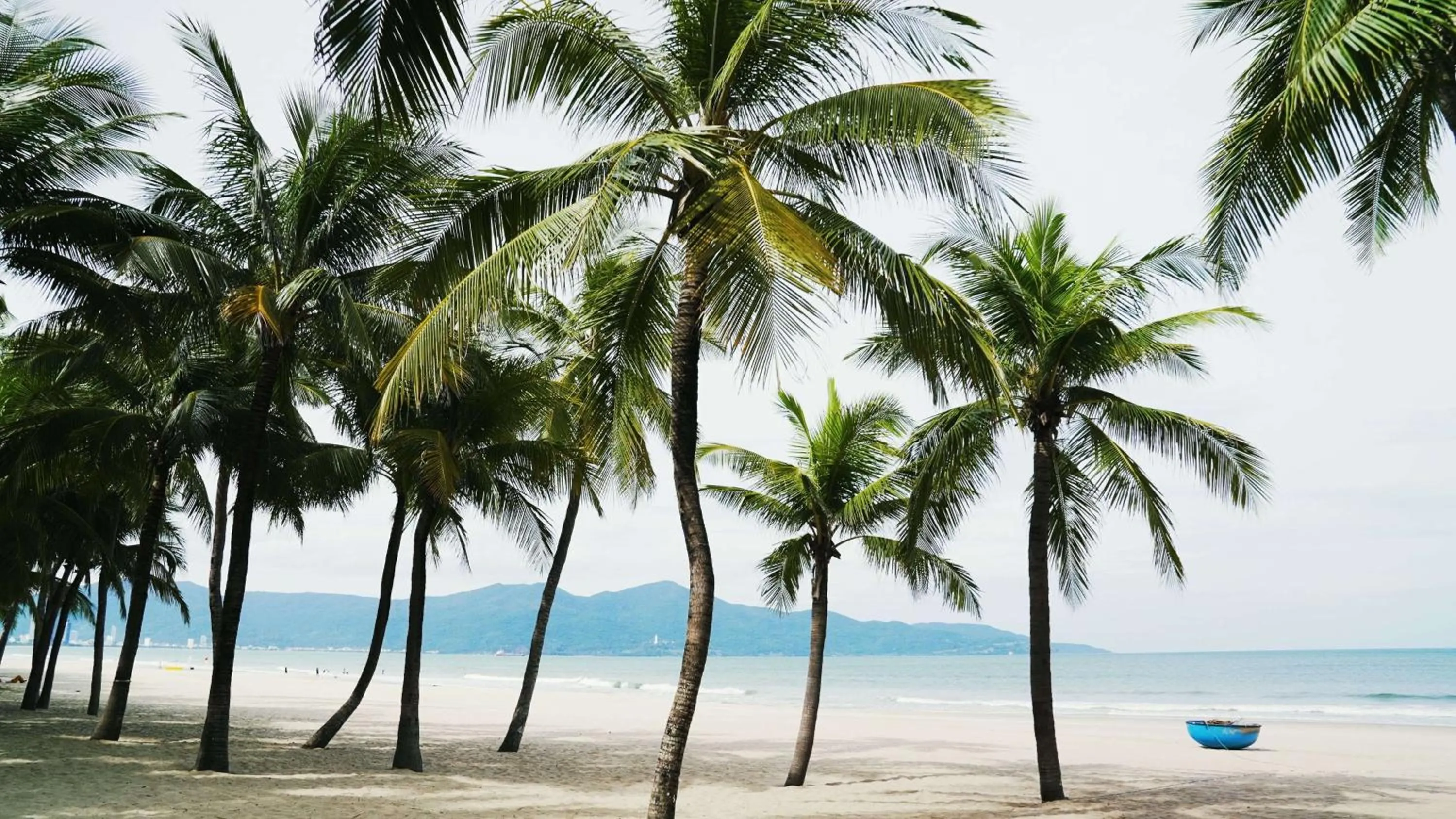 Other in Radisson RED Danang